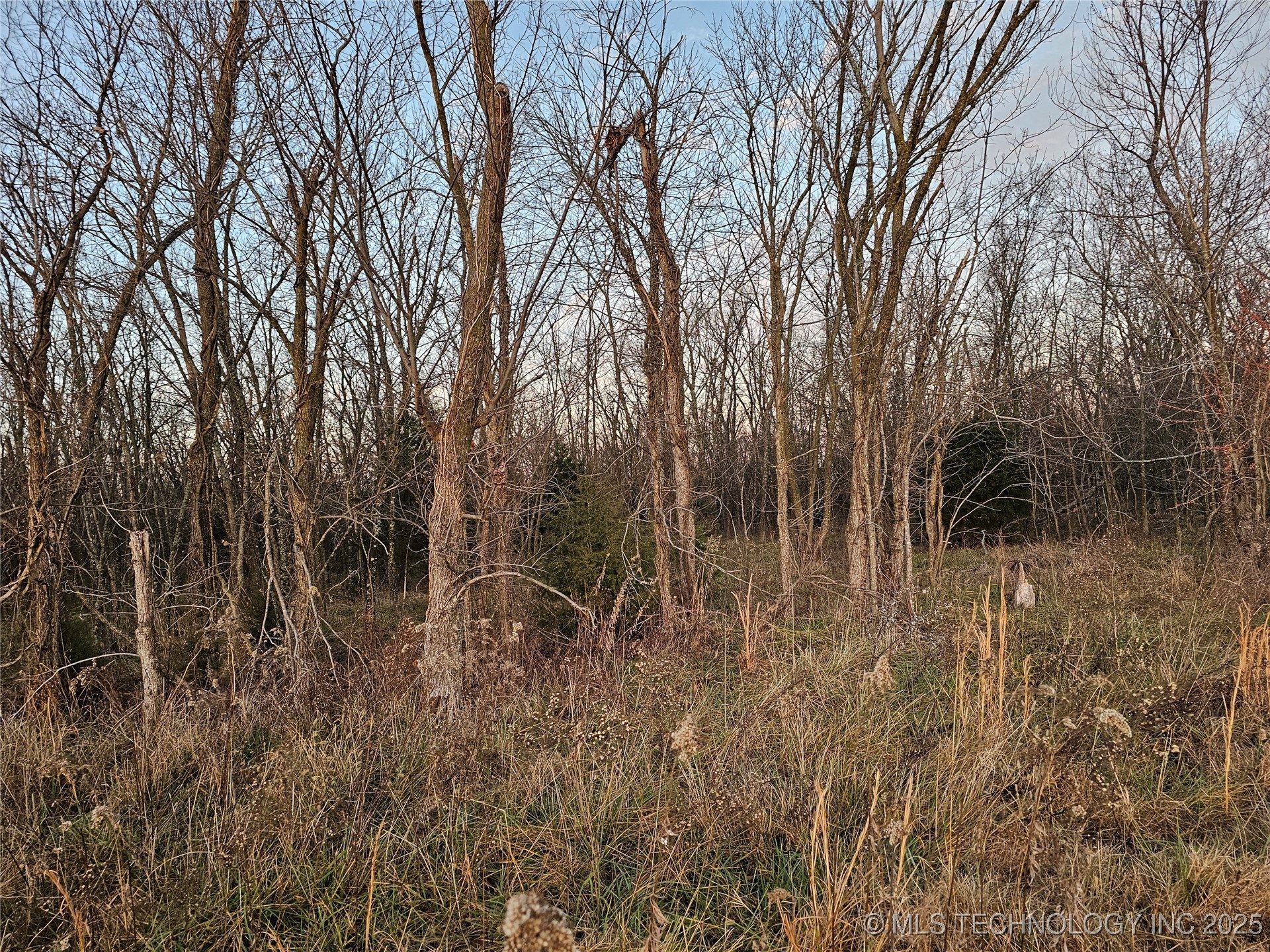 00001 N 4420 Road Property Photo 27