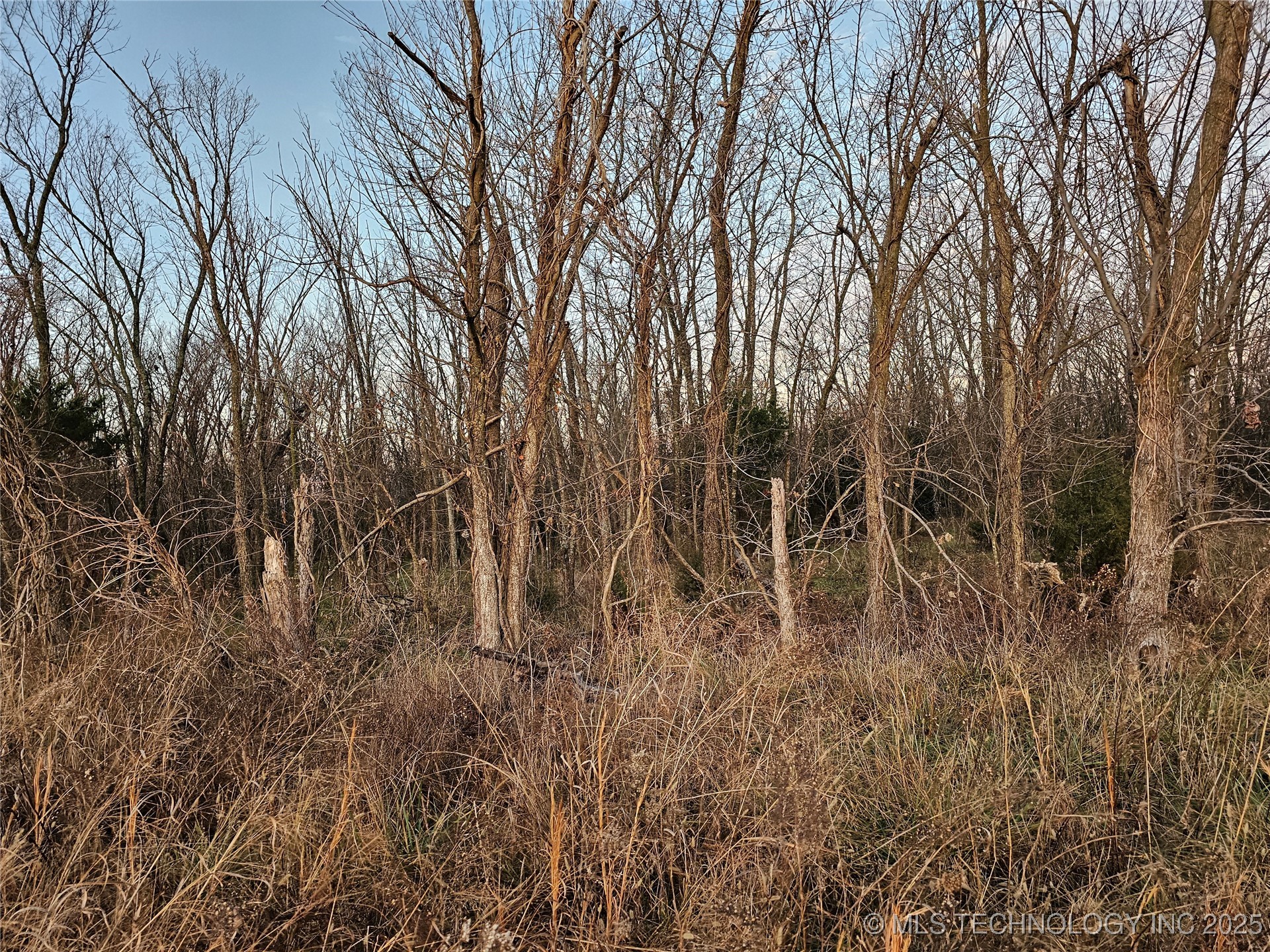 00001 N 4420 Road Property Photo 28