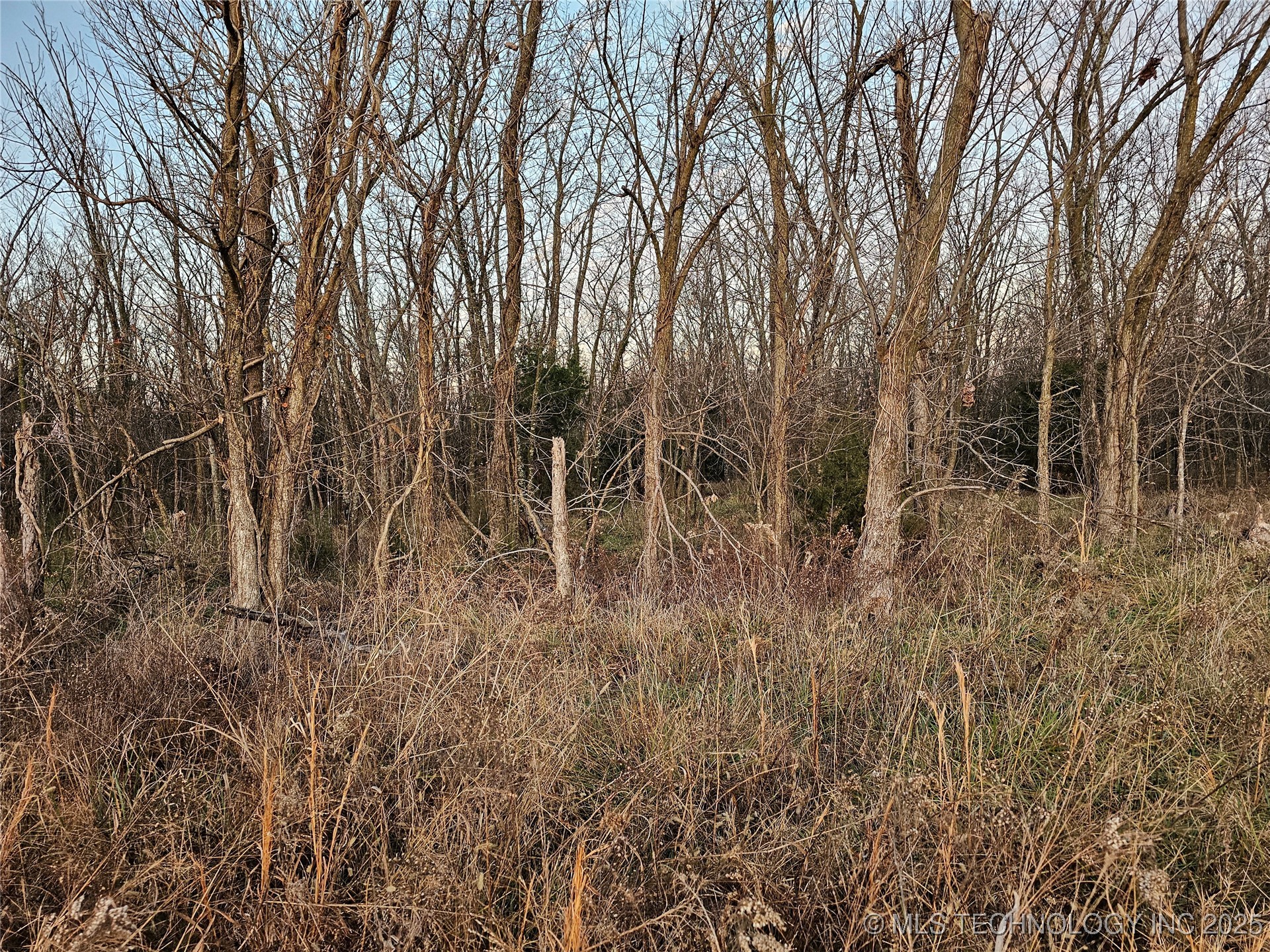 00001 N 4420 Road Property Photo 29