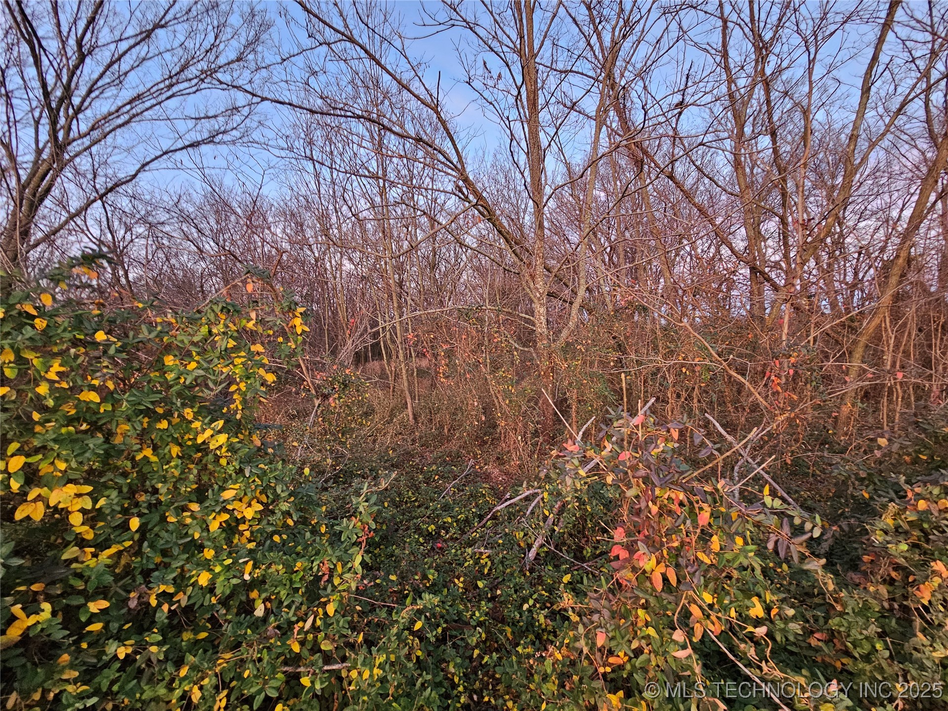 00001 N 4420 Road Property Photo 33