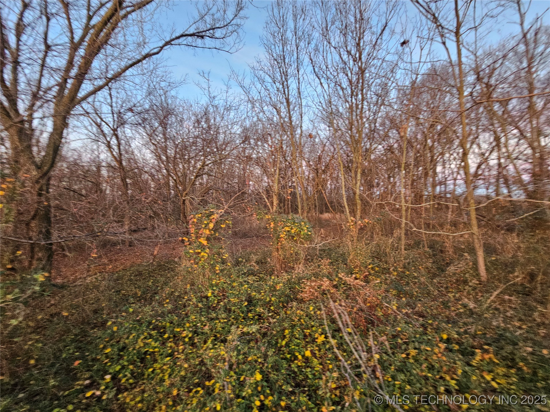 00001 N 4420 Road Property Photo 34