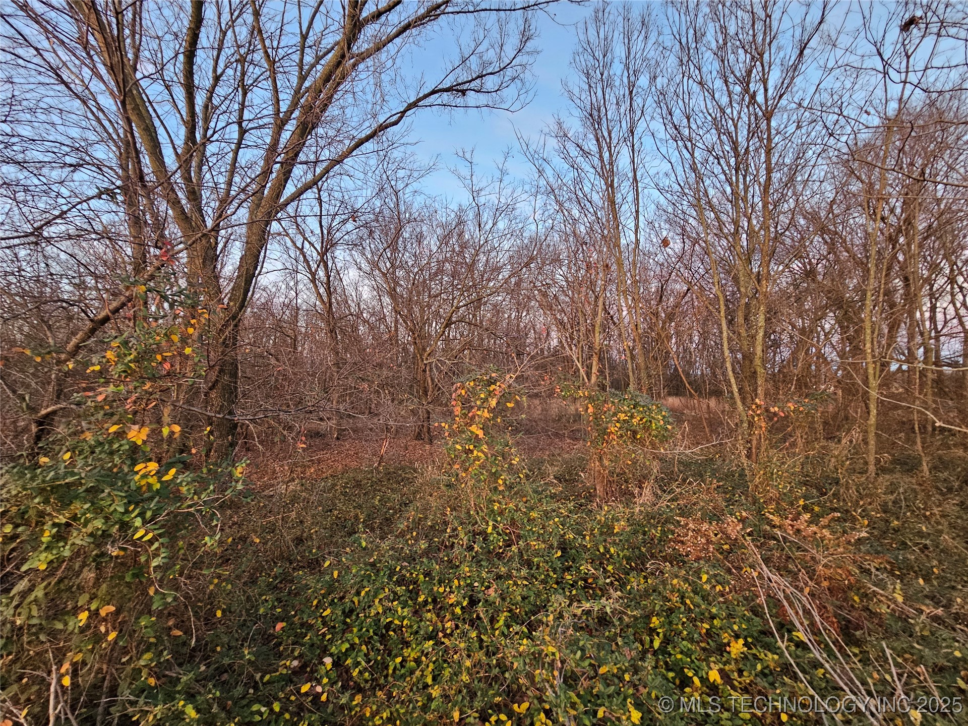 00001 N 4420 Road Property Photo 35