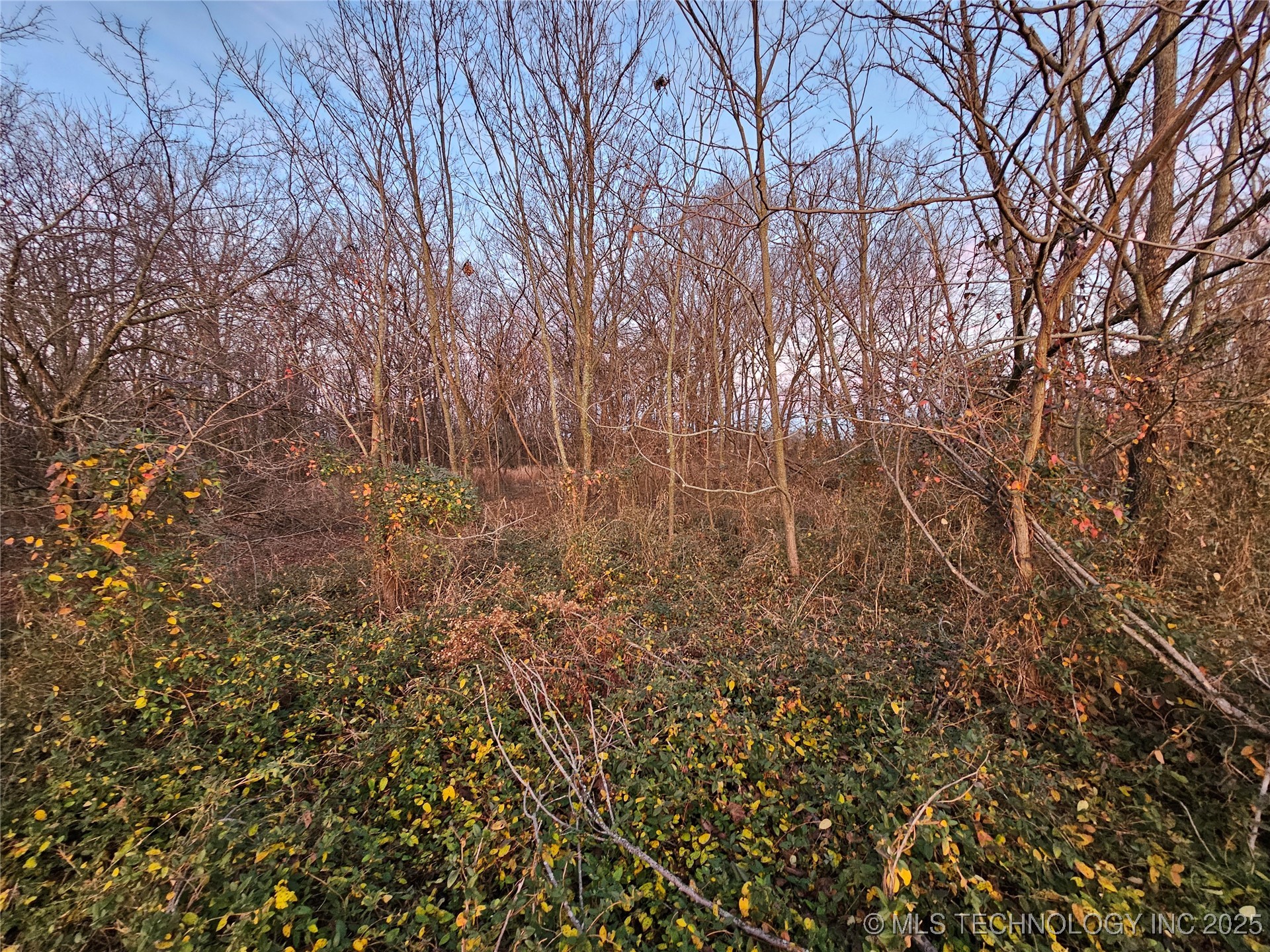 00001 N 4420 Road Property Photo 36