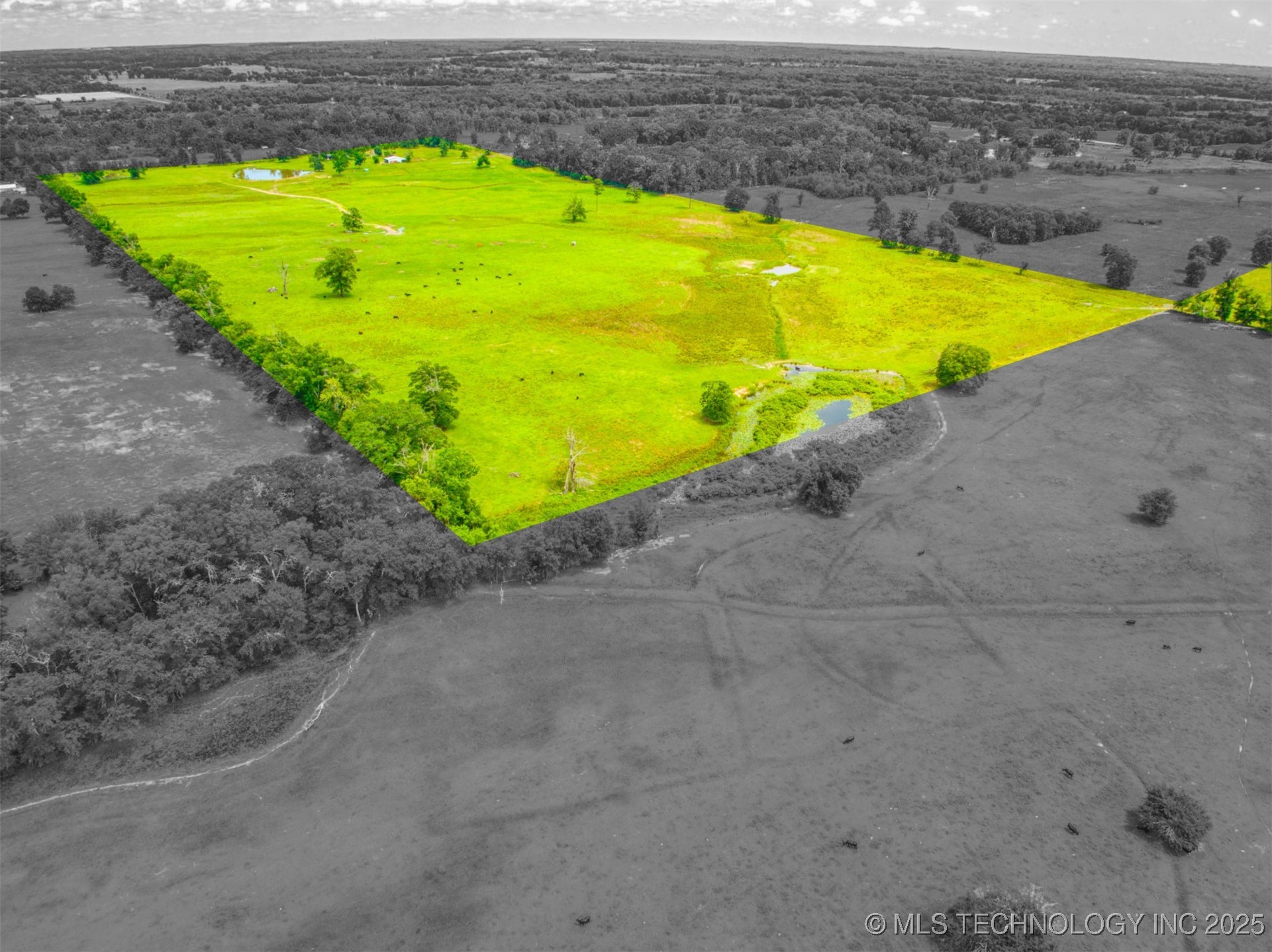 447 Pink Gladiola Property Photo 2