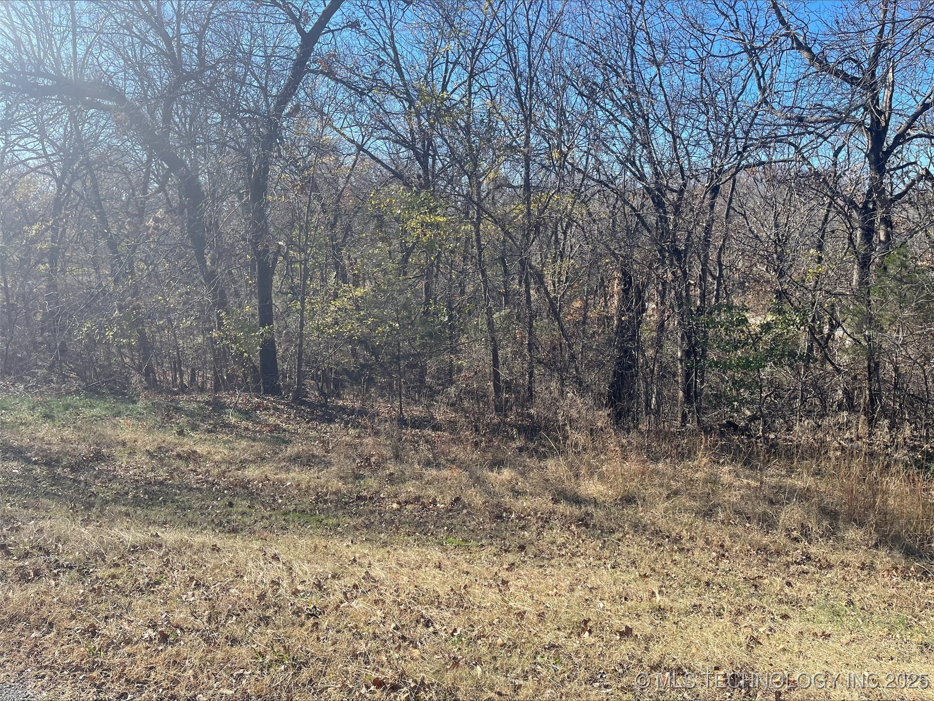 13000 S 15th Court Property Photo 3