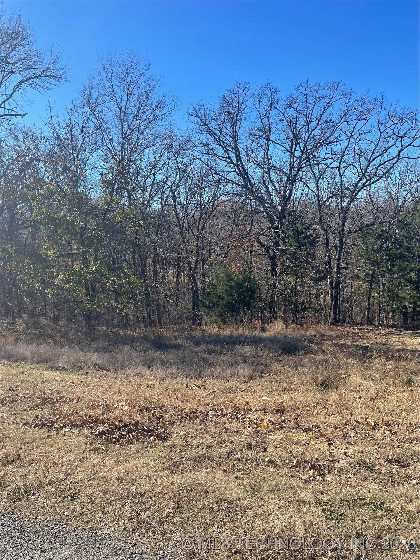 13000 S 15th Court Property Photo 4