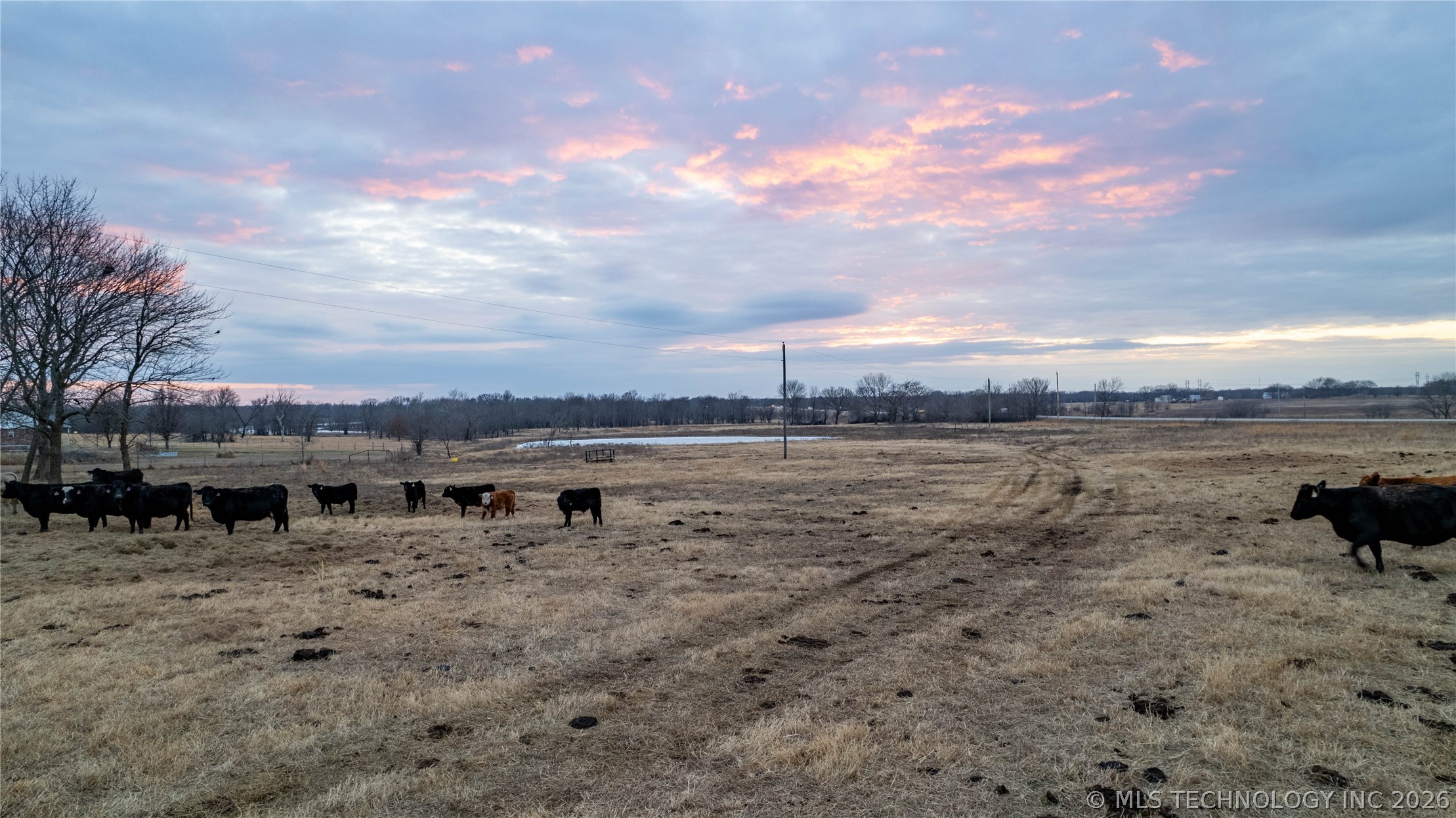 N 4390 Property Photo 4