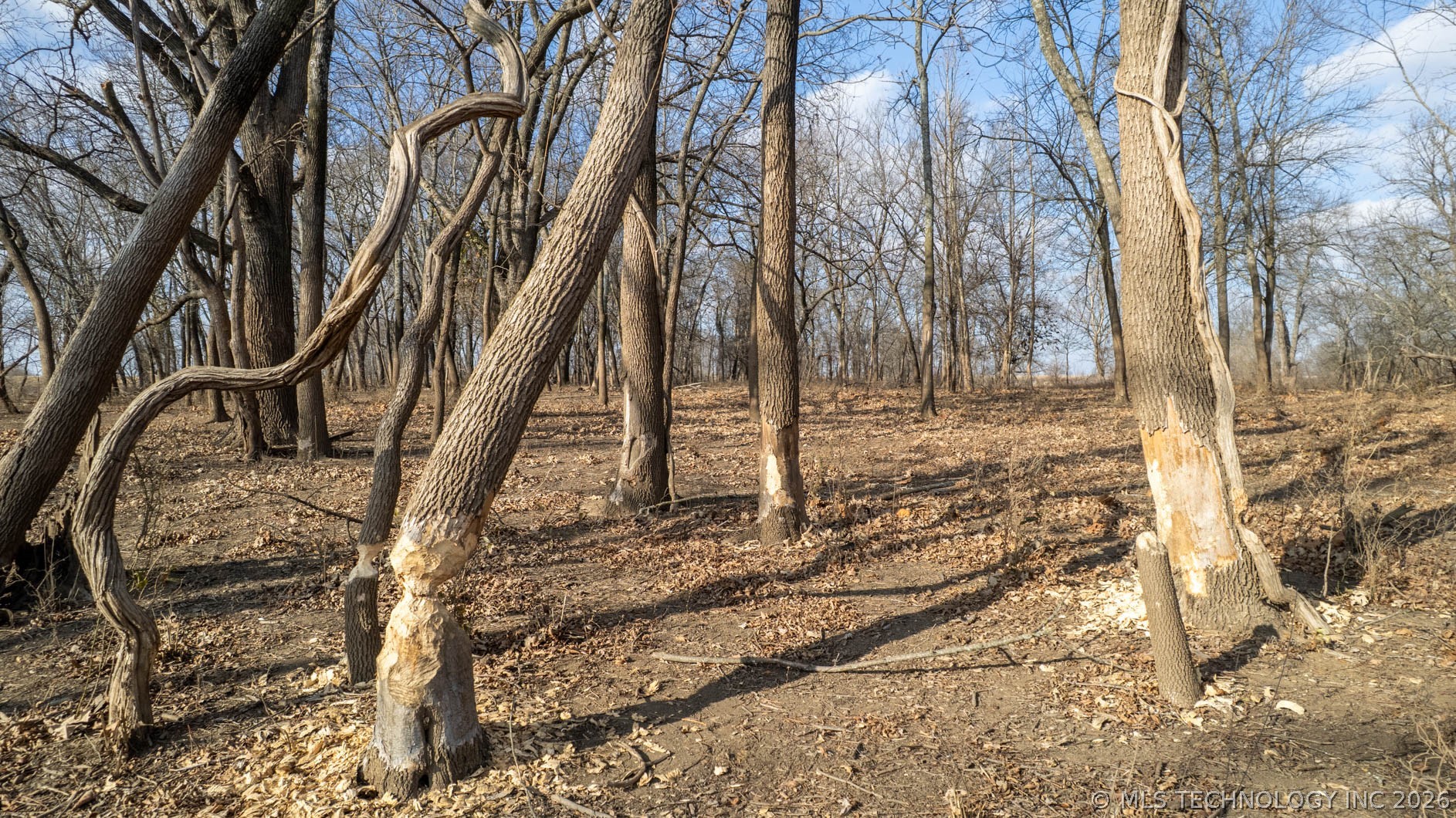 N 4390 Property Photo 70