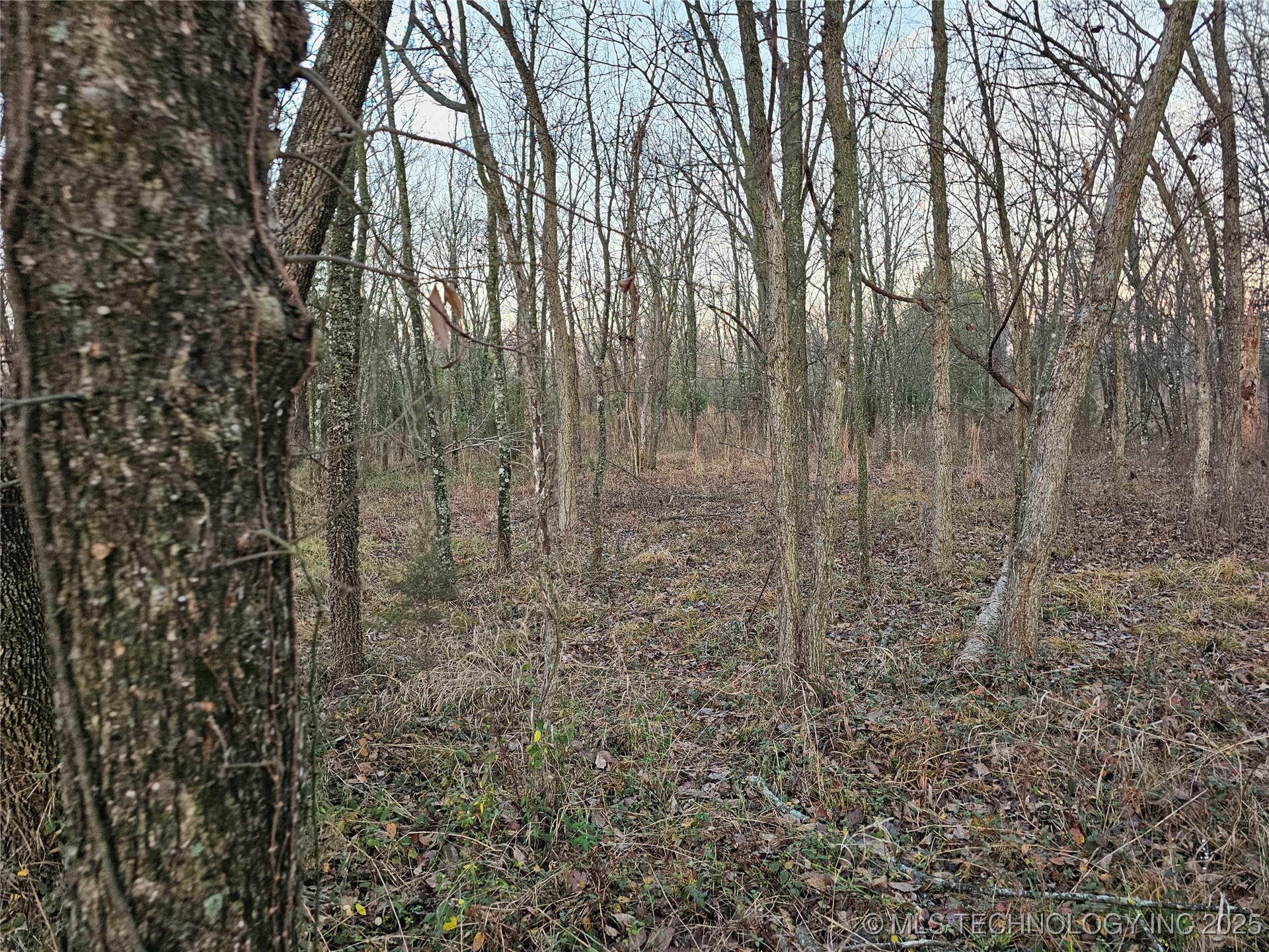 00003 N 4420 Road Property Photo 2