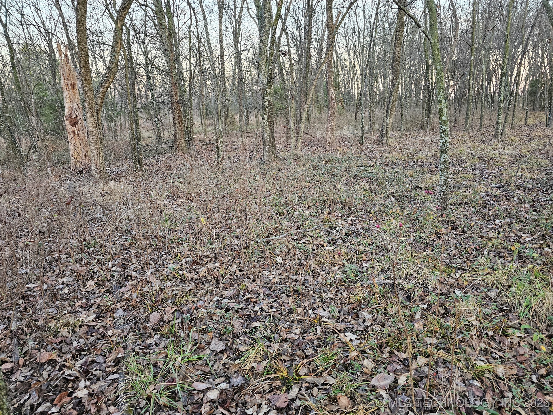 00003 N 4420 Road Property Photo 3