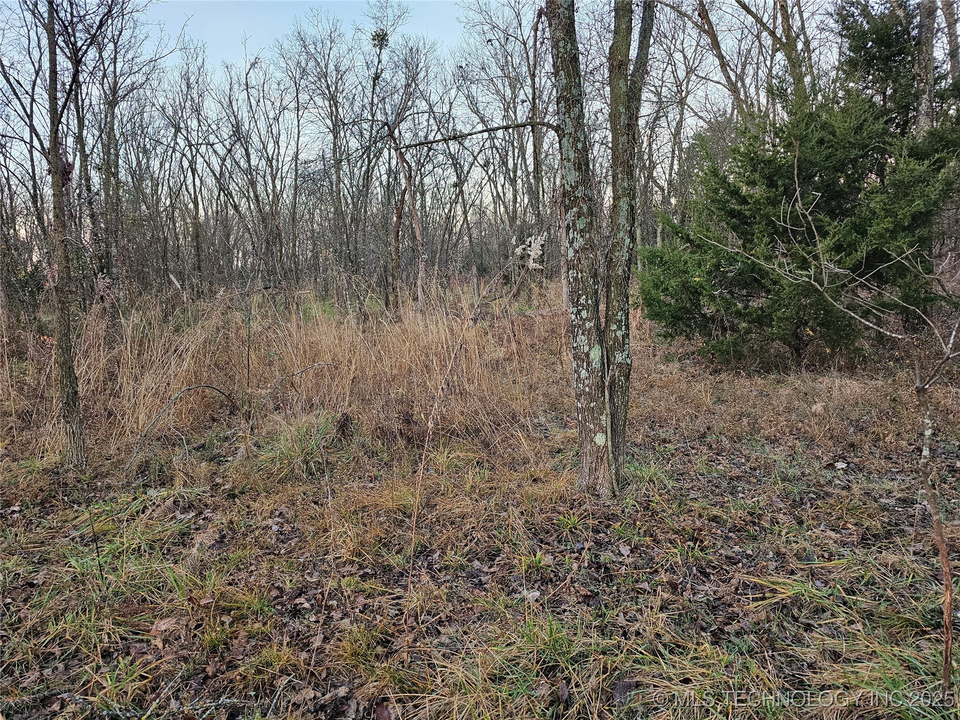 00003 N 4420 Road Property Photo 19