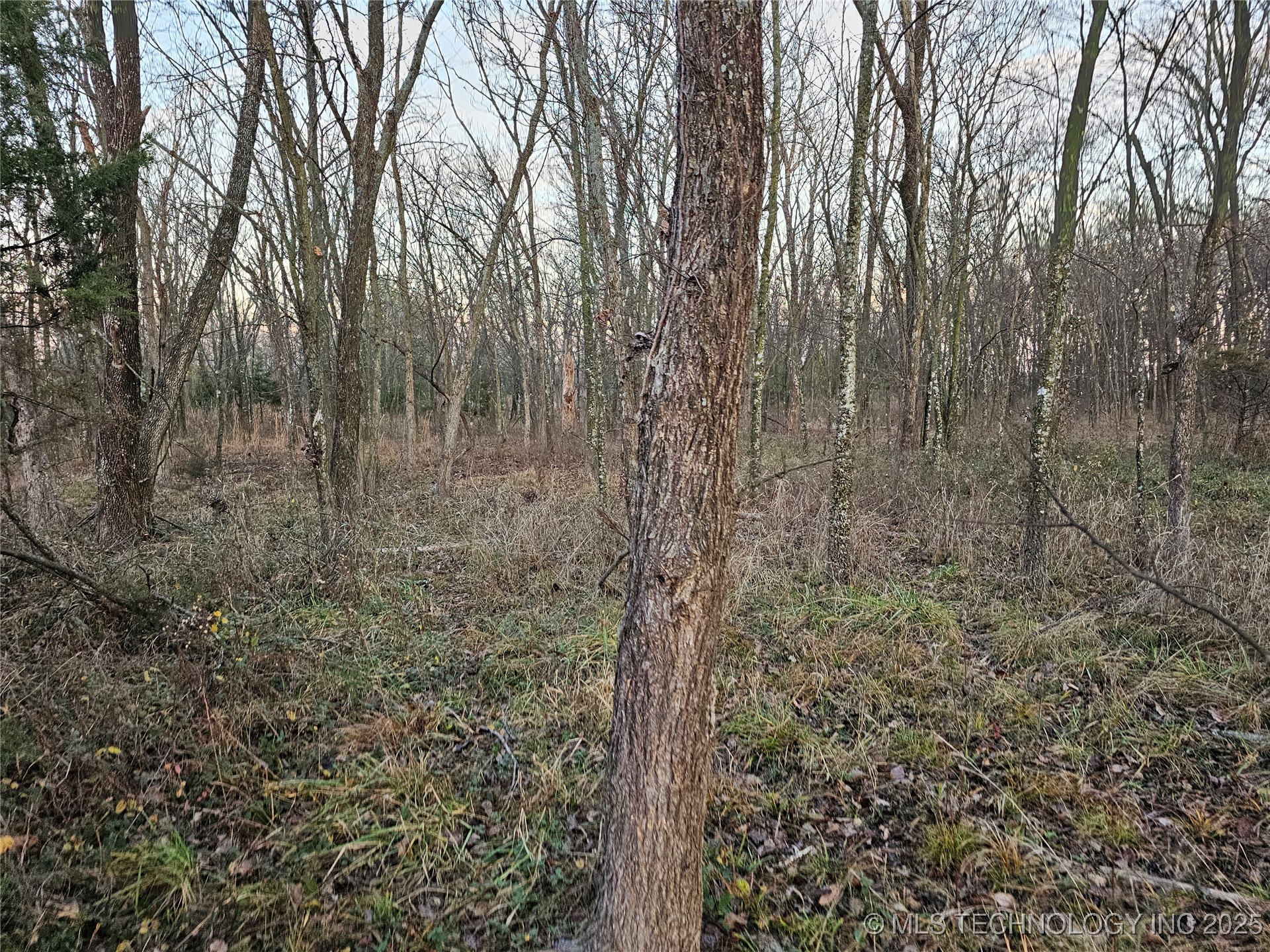 00003 N 4420 Road Property Photo 20