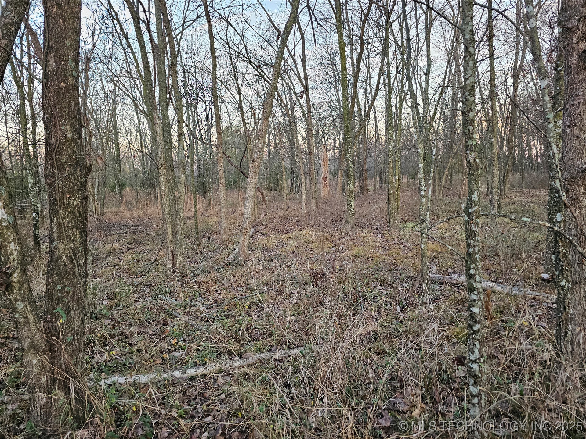 00003 N 4420 Road Property Photo 21