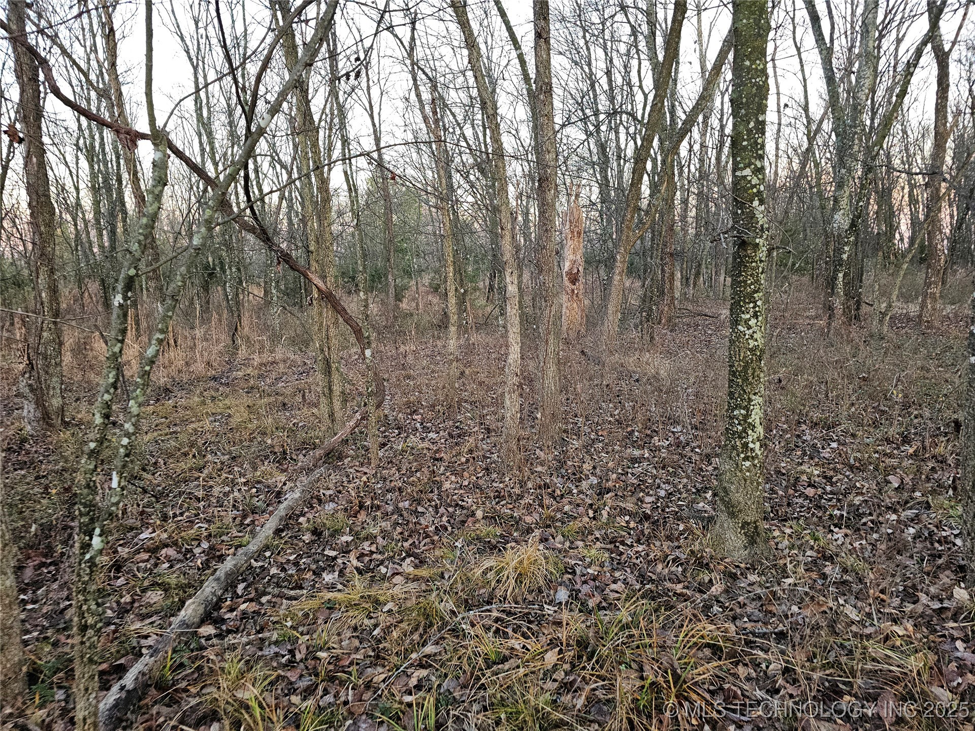 00003 N 4420 Road Property Photo 22