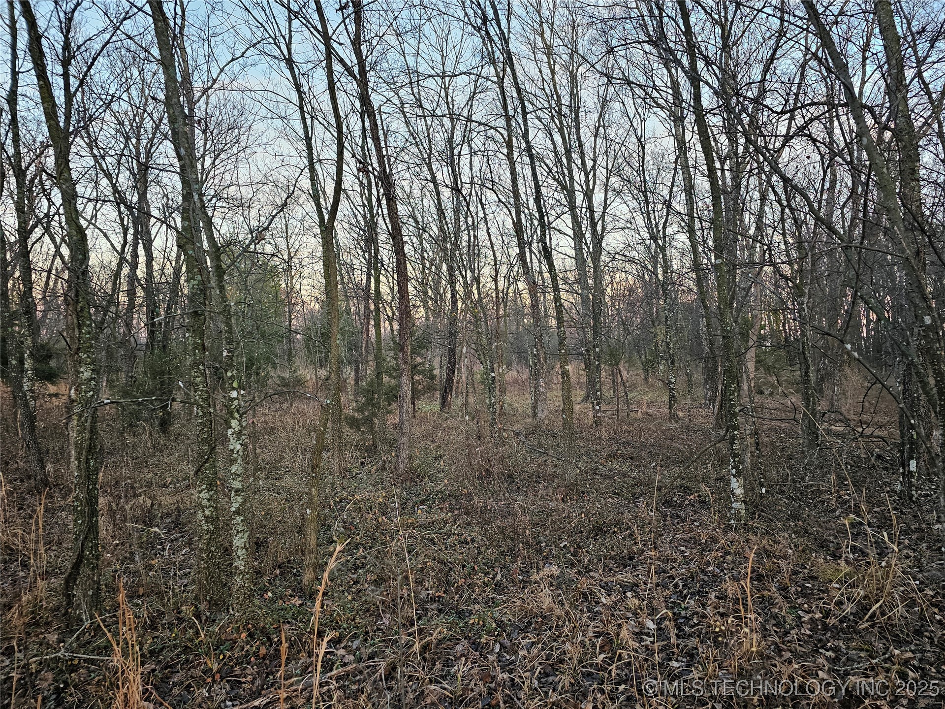 00003 N 4420 Road Property Photo 23