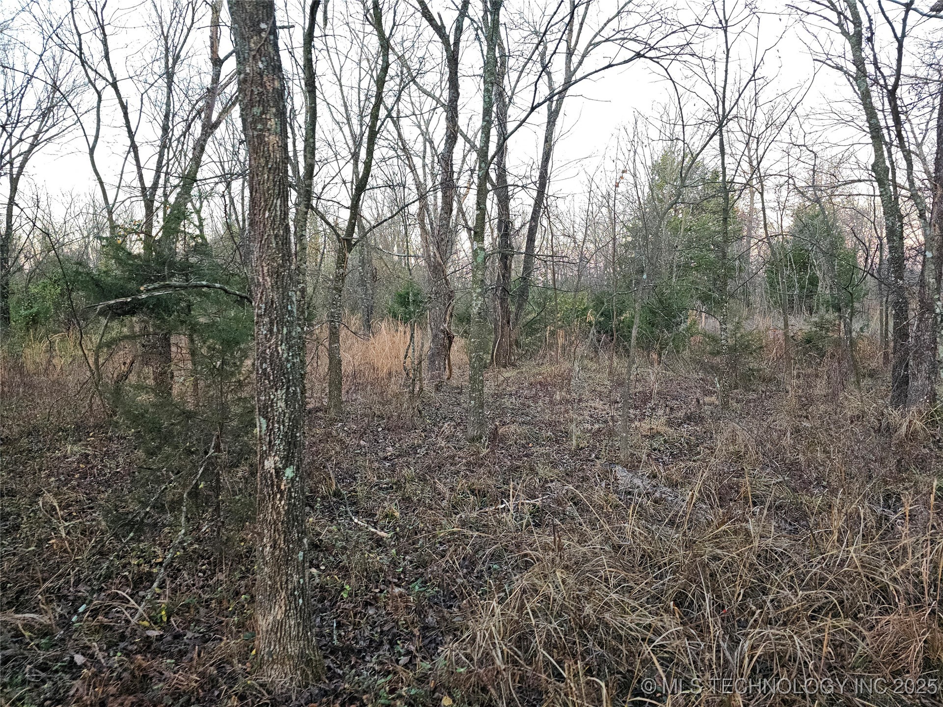 00003 N 4420 Road Property Photo 25