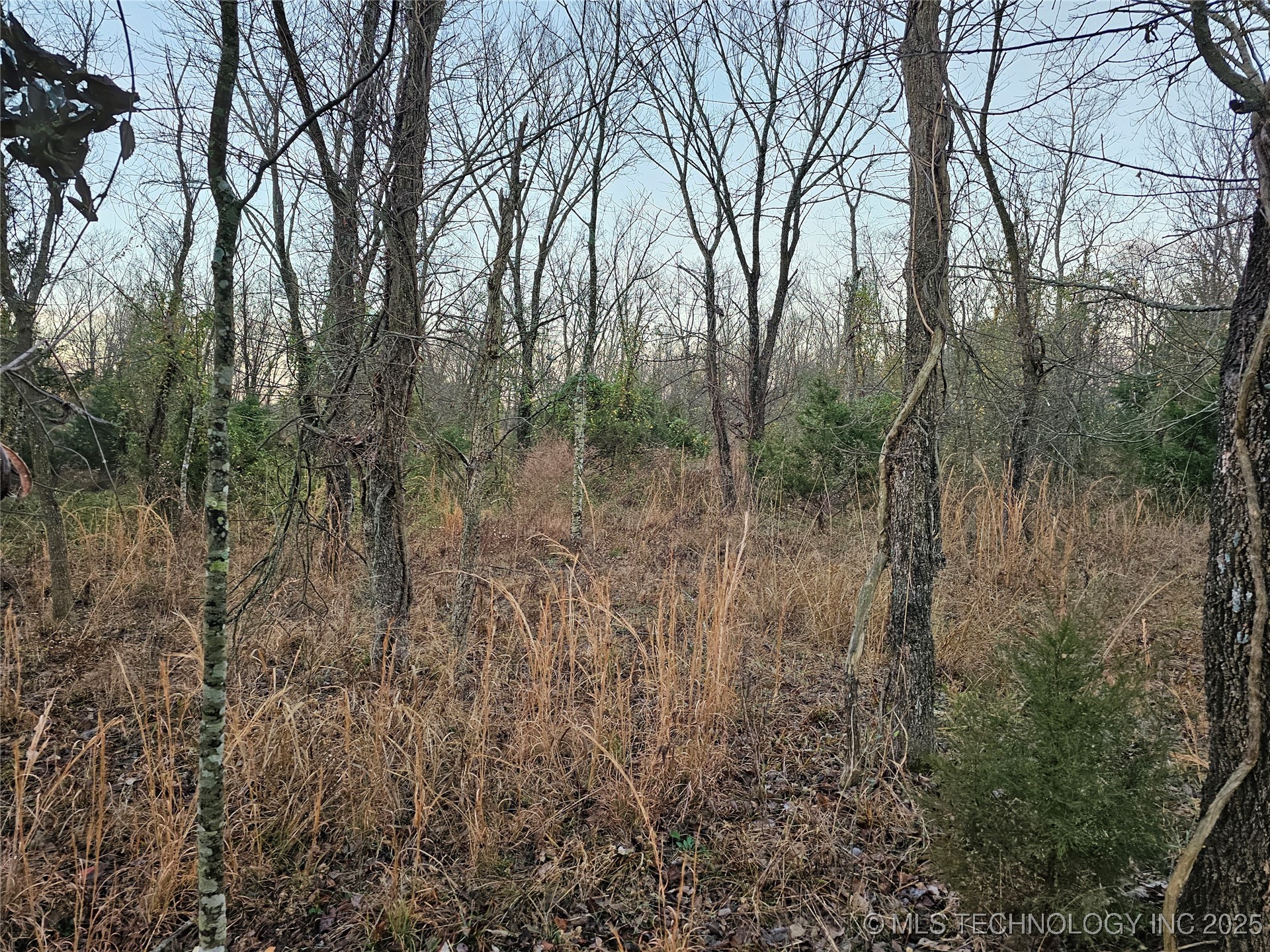 00003 N 4420 Road Property Photo 27