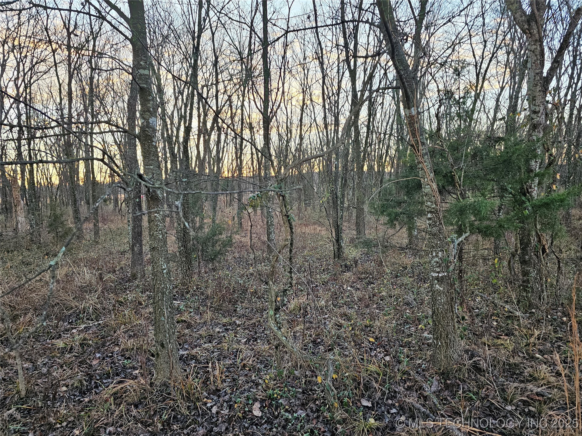 00003 N 4420 Road Property Photo 28