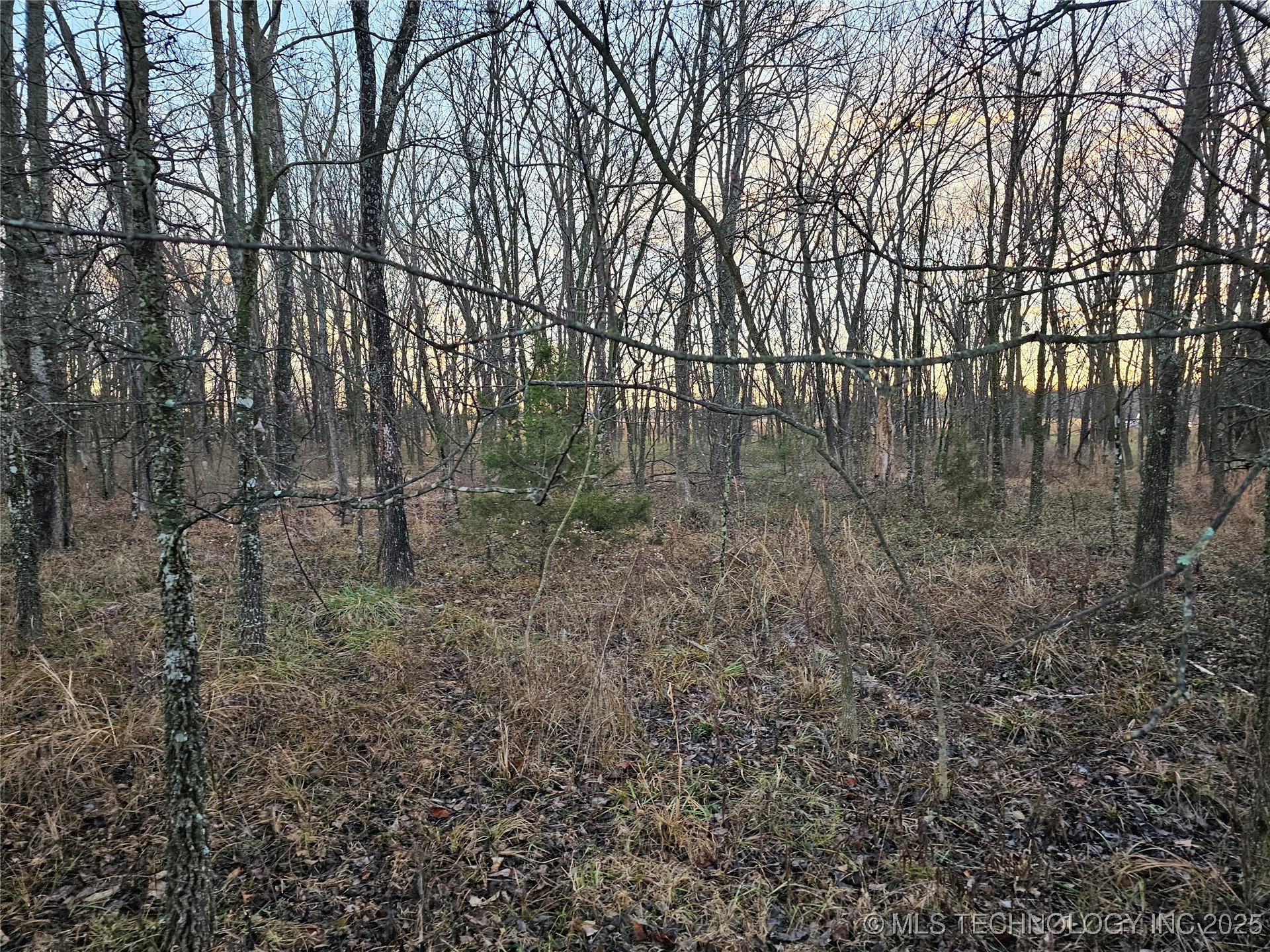 00003 N 4420 Road Property Photo 29