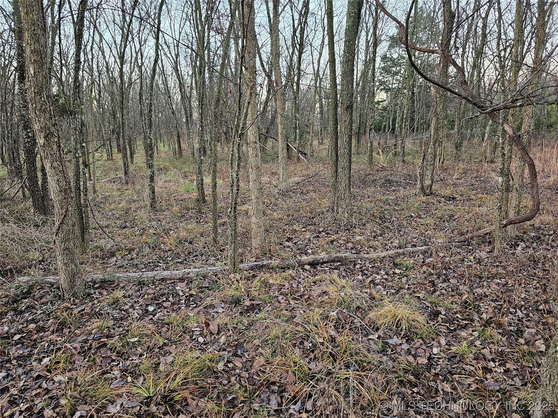 00003 N 4420 Road Property Photo 30