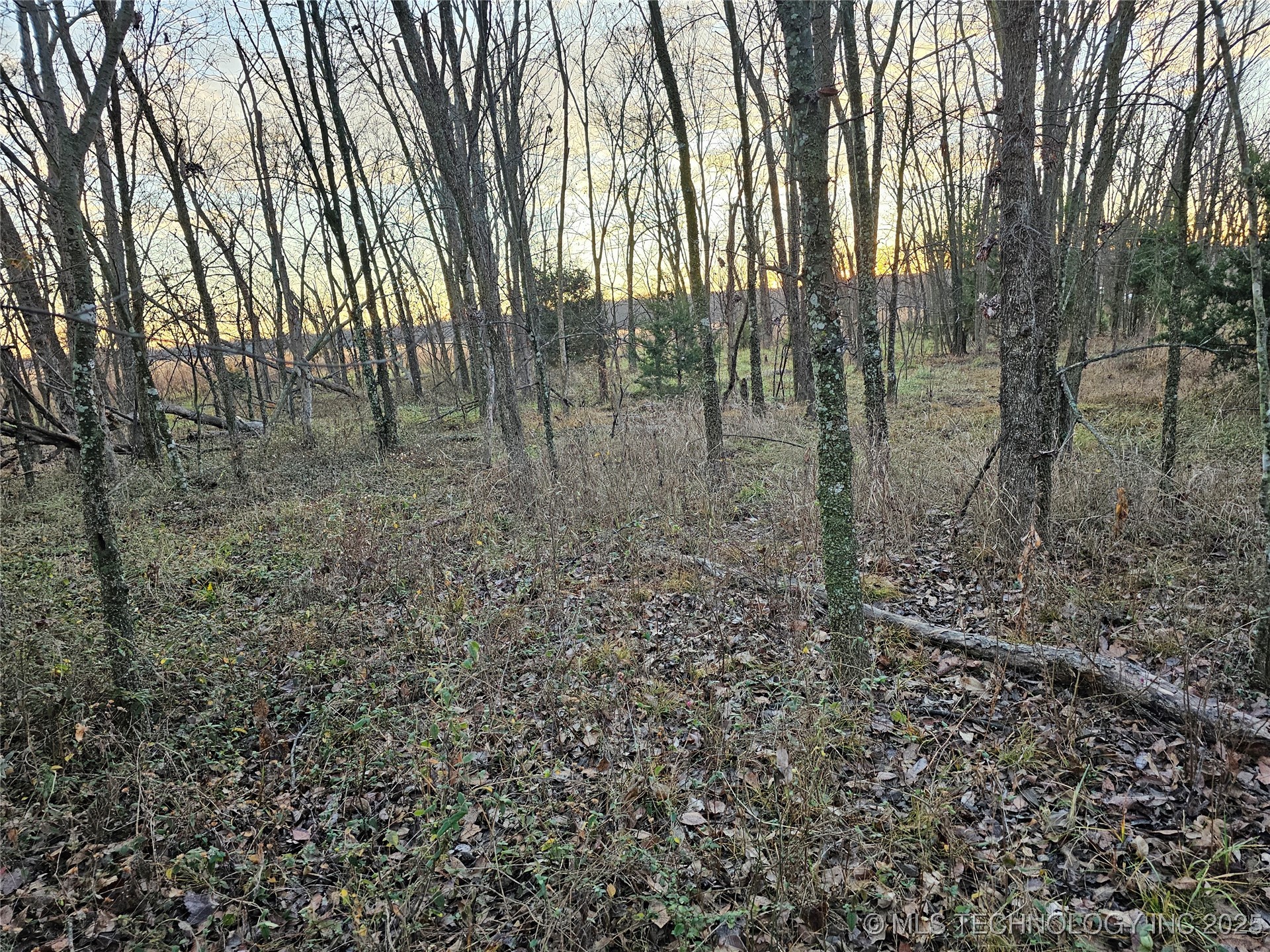 00003 N 4420 Road Property Photo 31