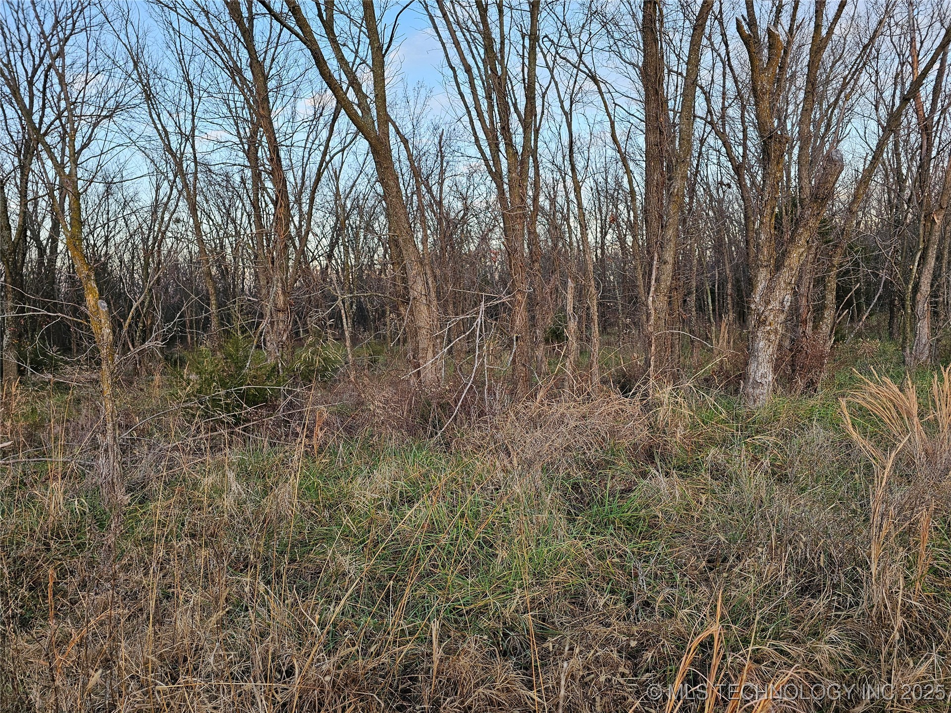 00004 N 4420 Road Property Photo 28