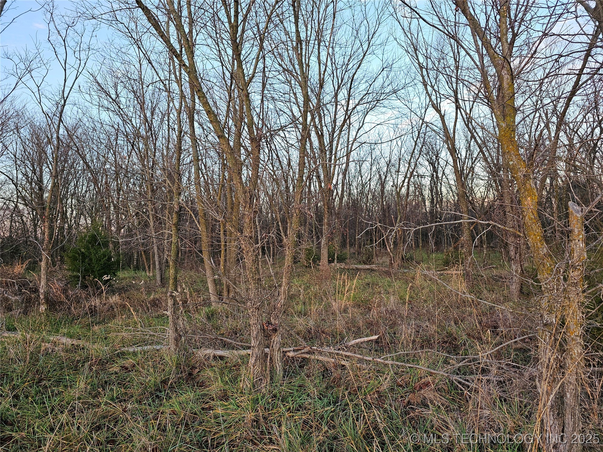 00004 N 4420 Road Property Photo 29