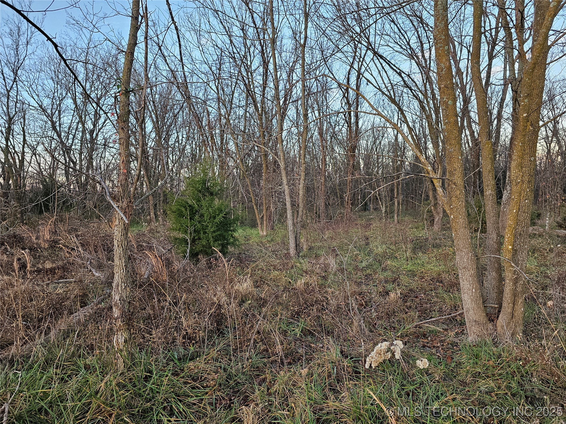 00004 N 4420 Road Property Photo 30