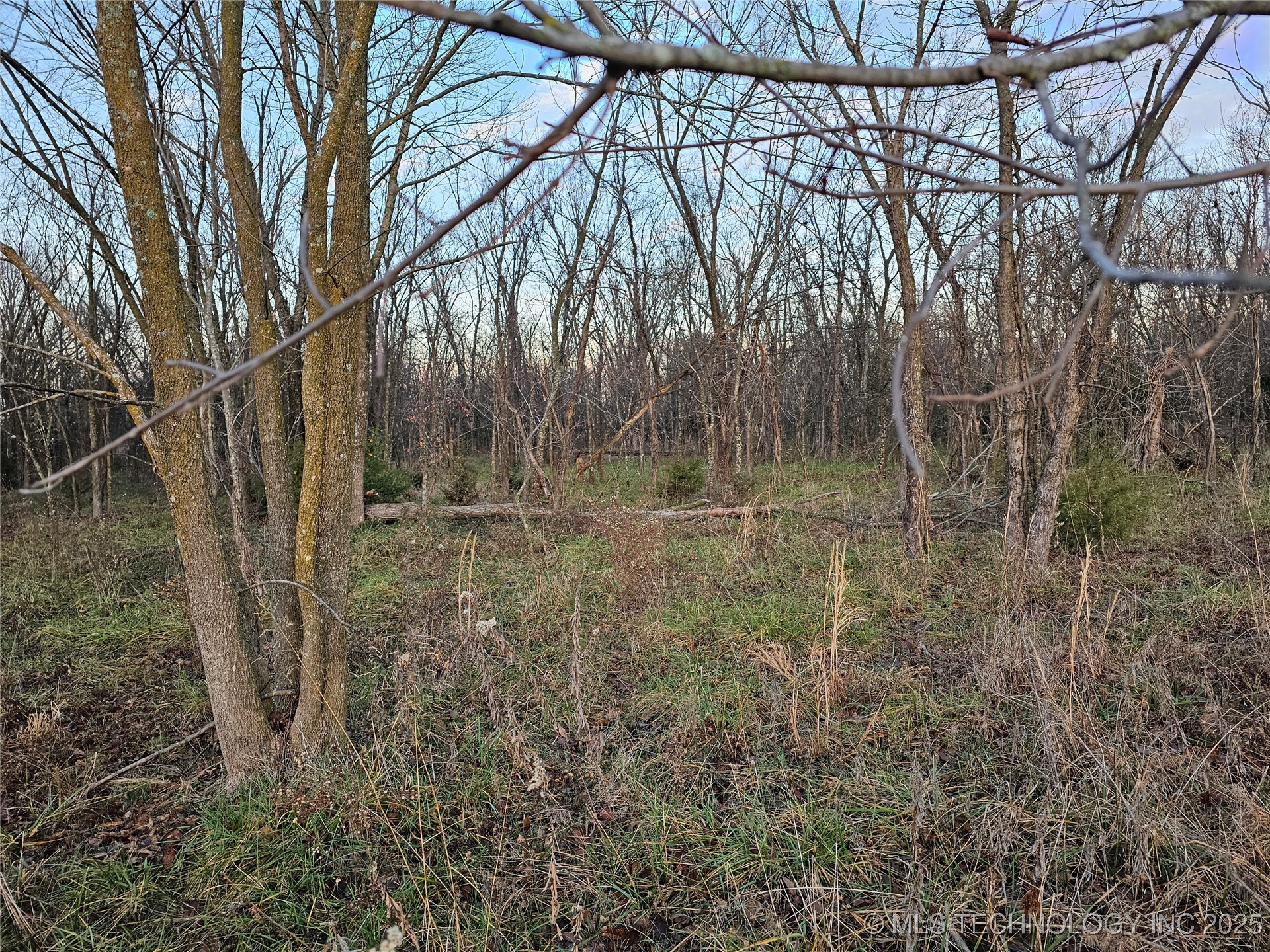 00004 N 4420 Road Property Photo 31