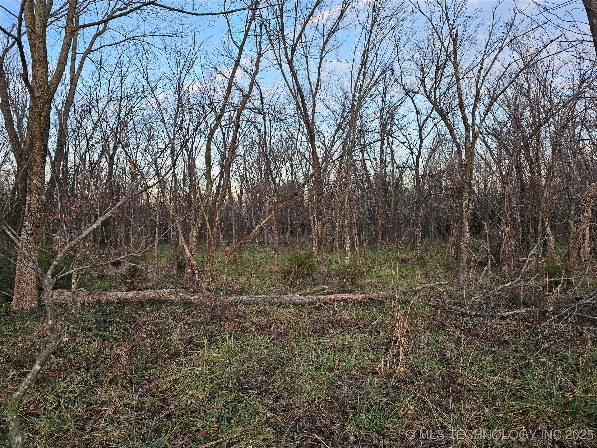 00004 N 4420 Road Property Photo 32