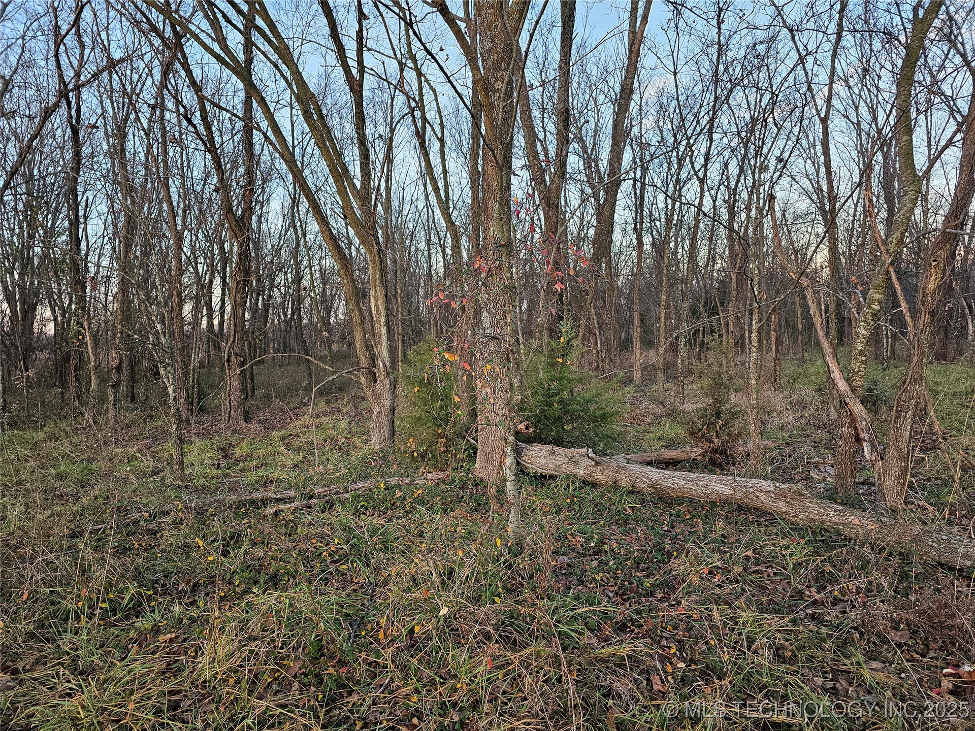 00004 N 4420 Road Property Photo 33