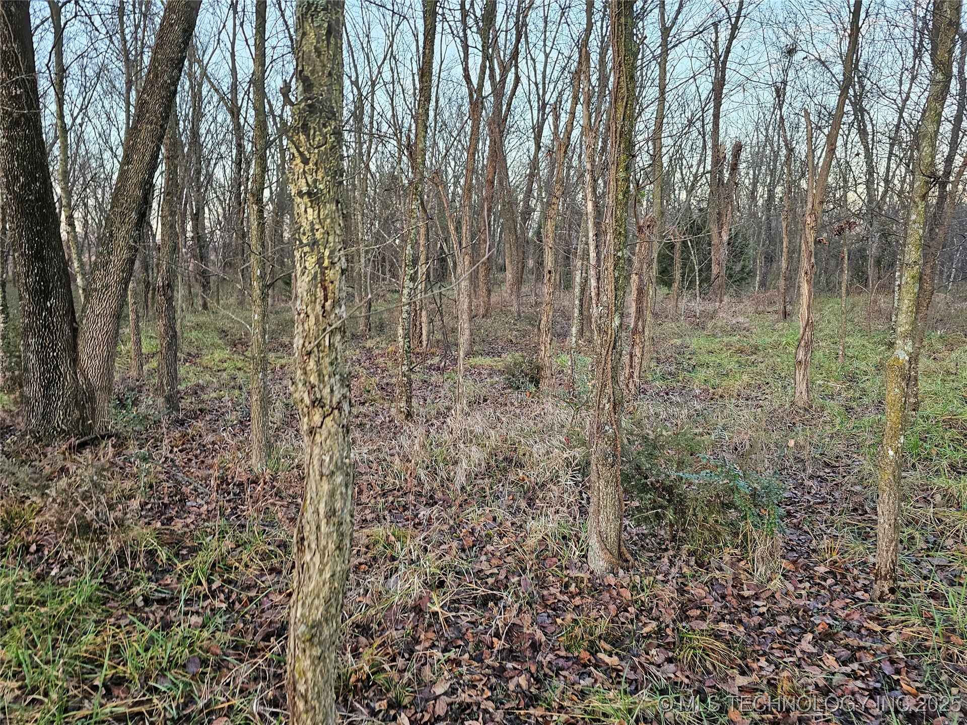 00004 N 4420 Road Property Photo 34