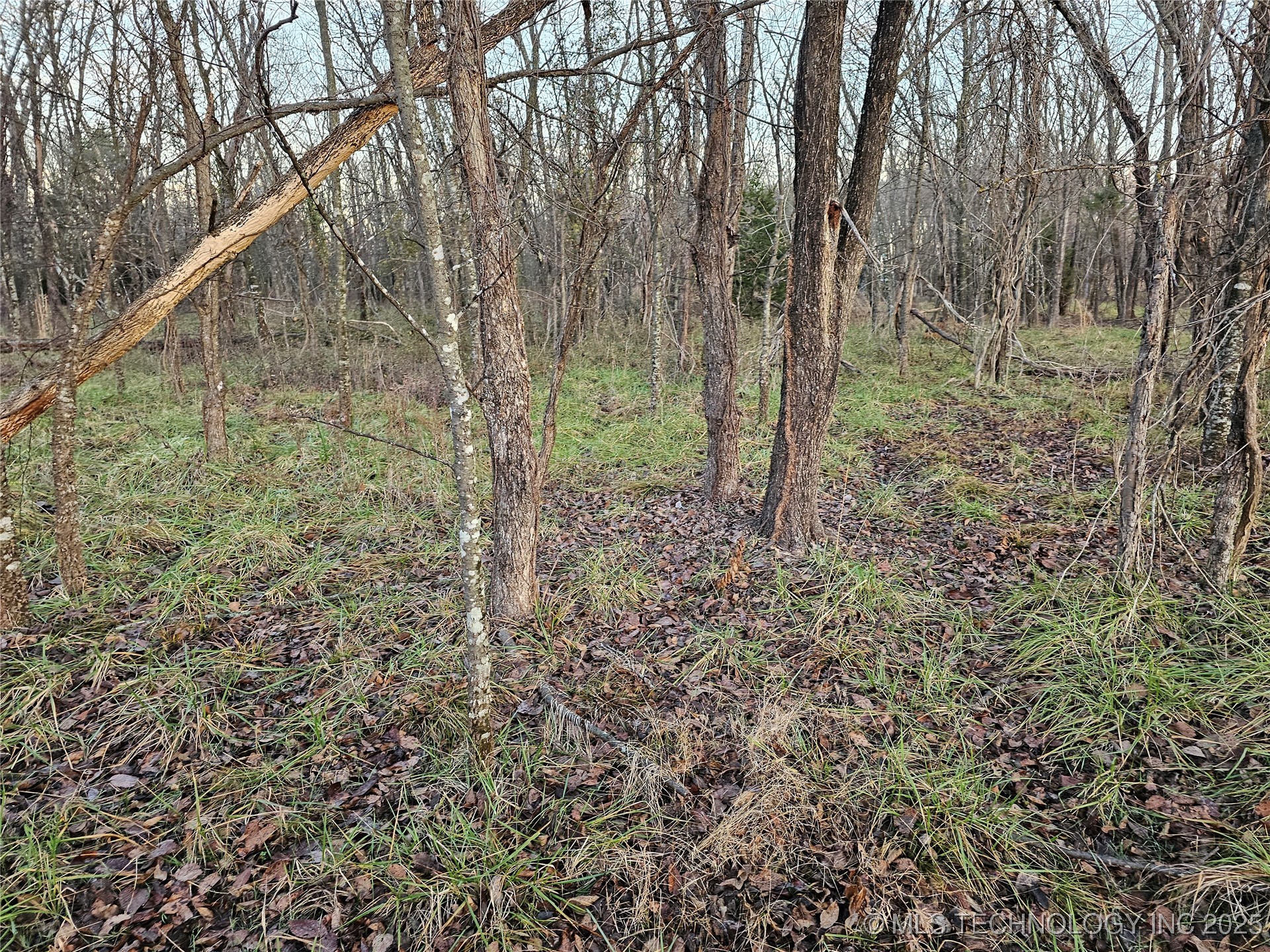 00004 N 4420 Road Property Photo 35