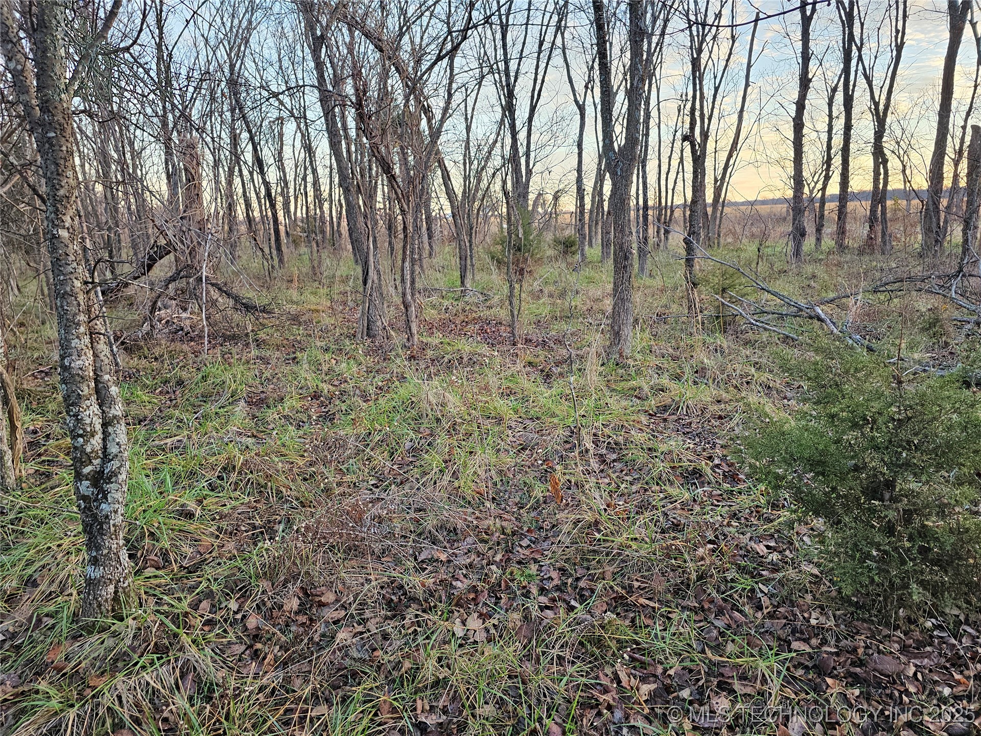 00004 N 4420 Road Property Photo 36