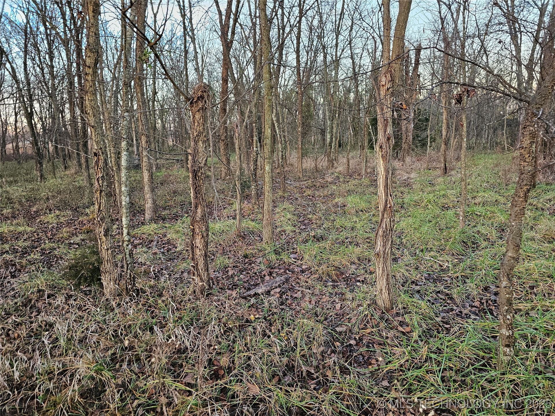 00004 N 4420 Road Property Photo 37