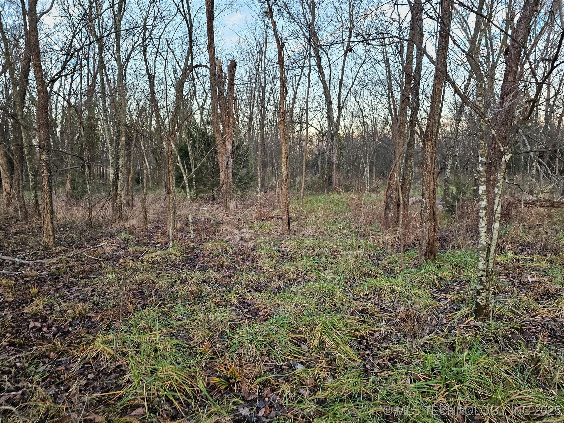 00004 N 4420 Road Property Photo 38