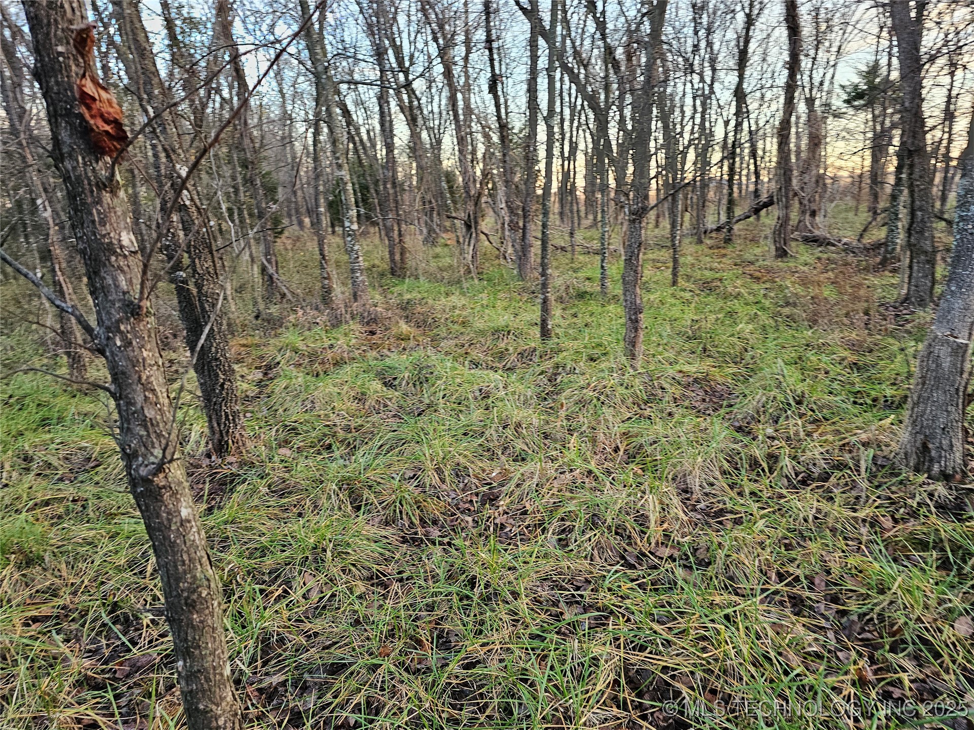 00004 N 4420 Road Property Photo 39