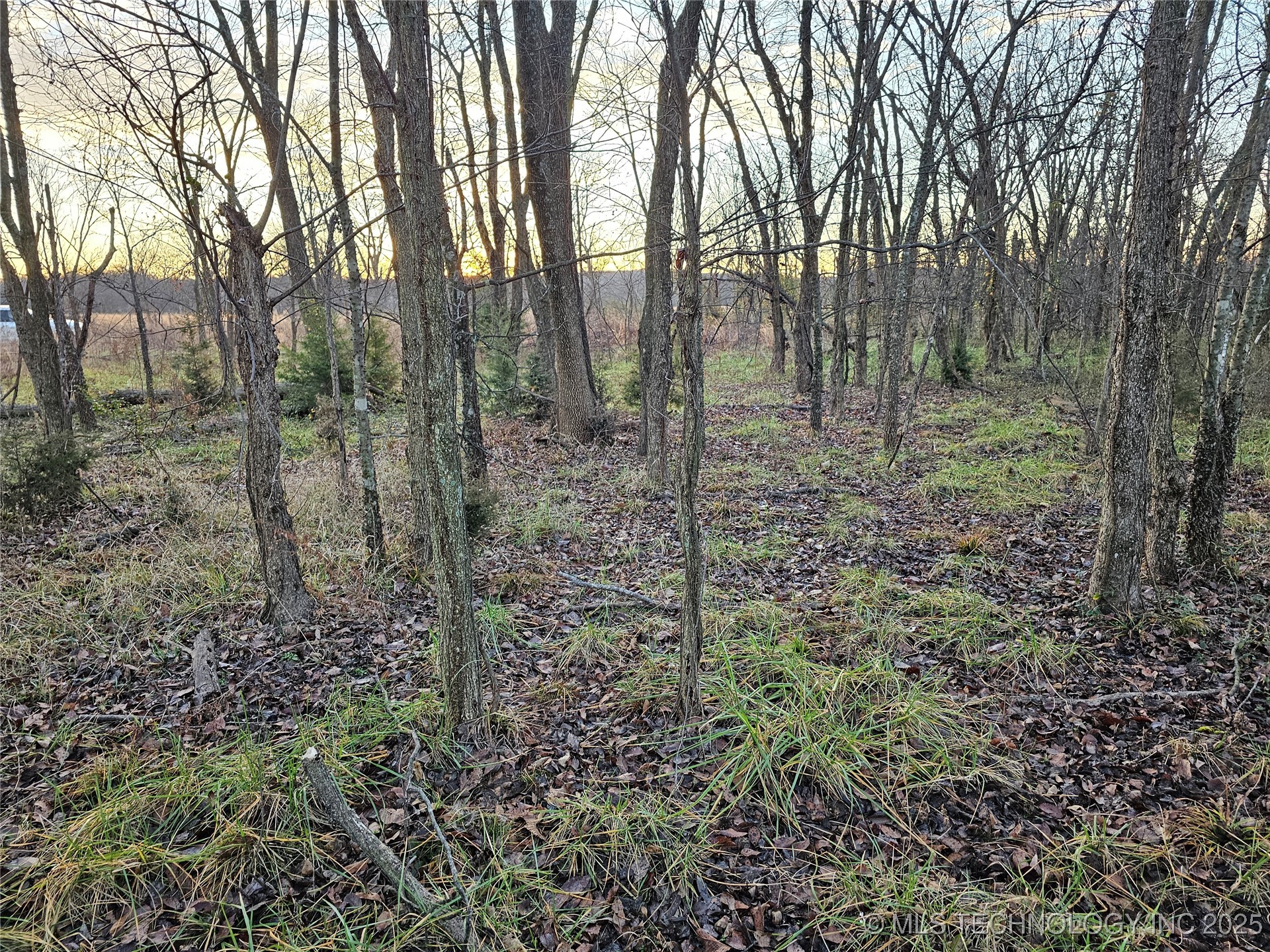 00004 N 4420 Road Property Photo 40