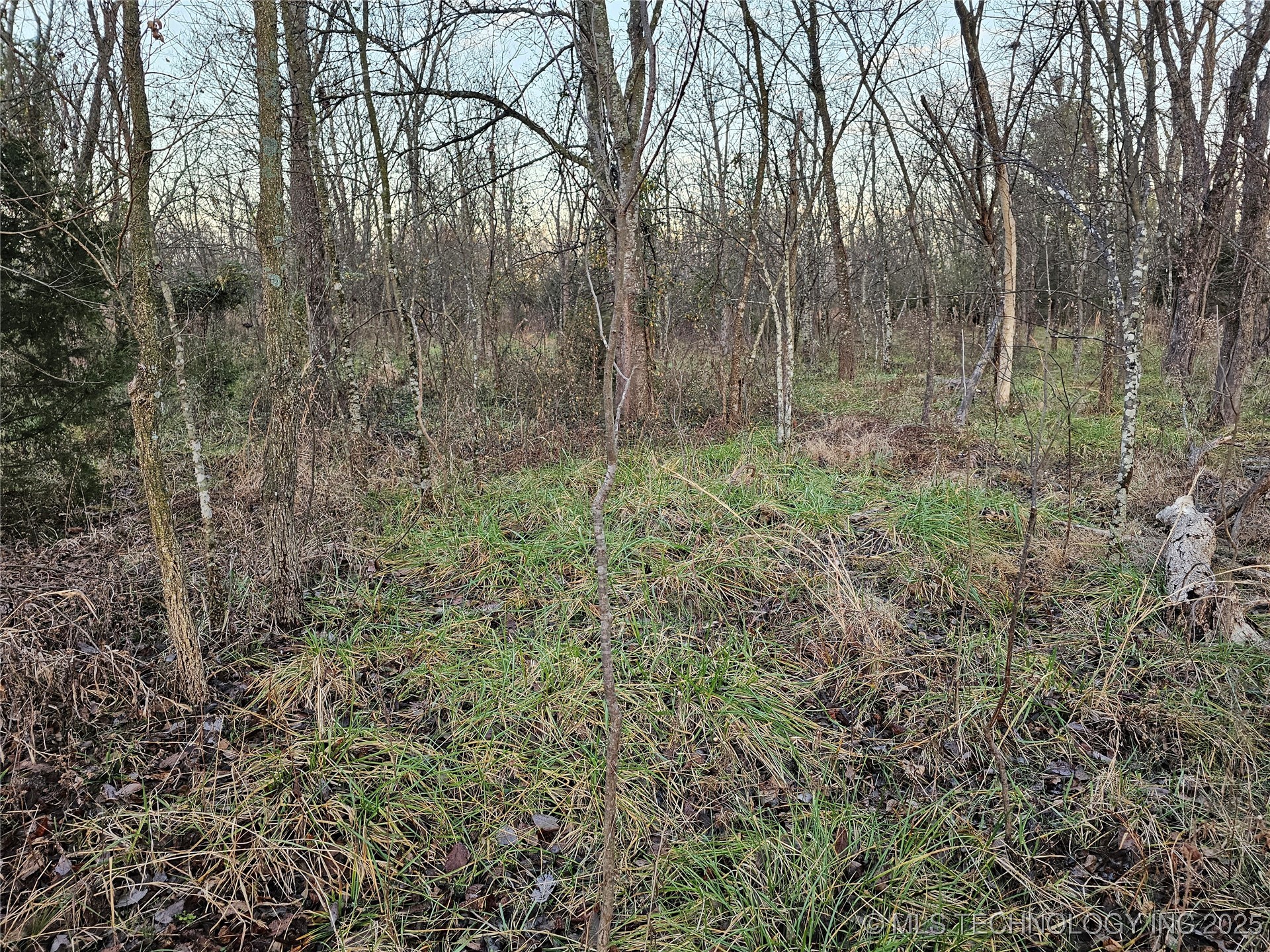 00004 N 4420 Road Property Photo 41