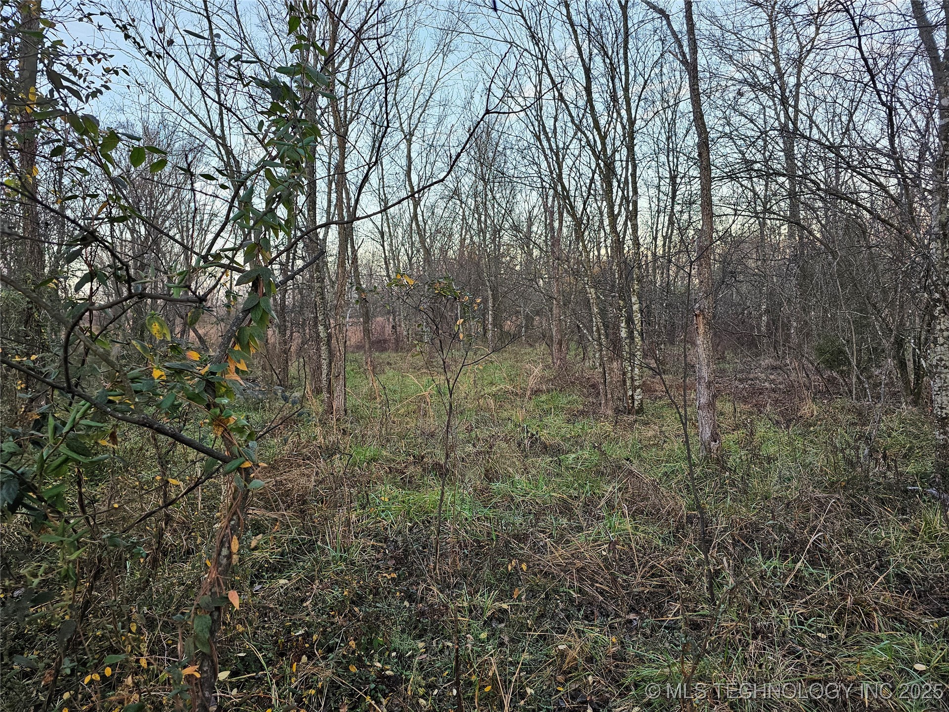 00004 N 4420 Road Property Photo 43