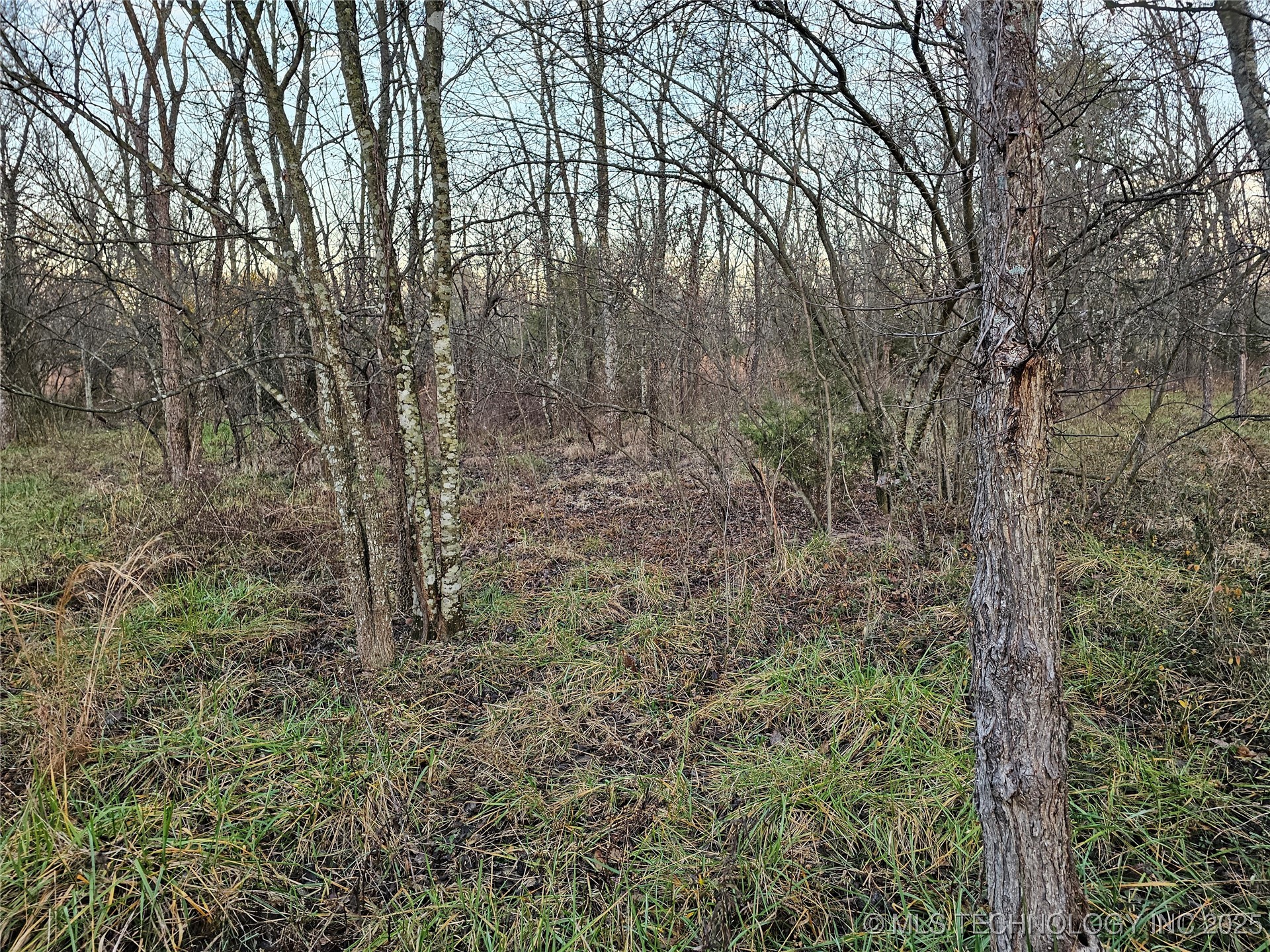 00004 N 4420 Road Property Photo 44