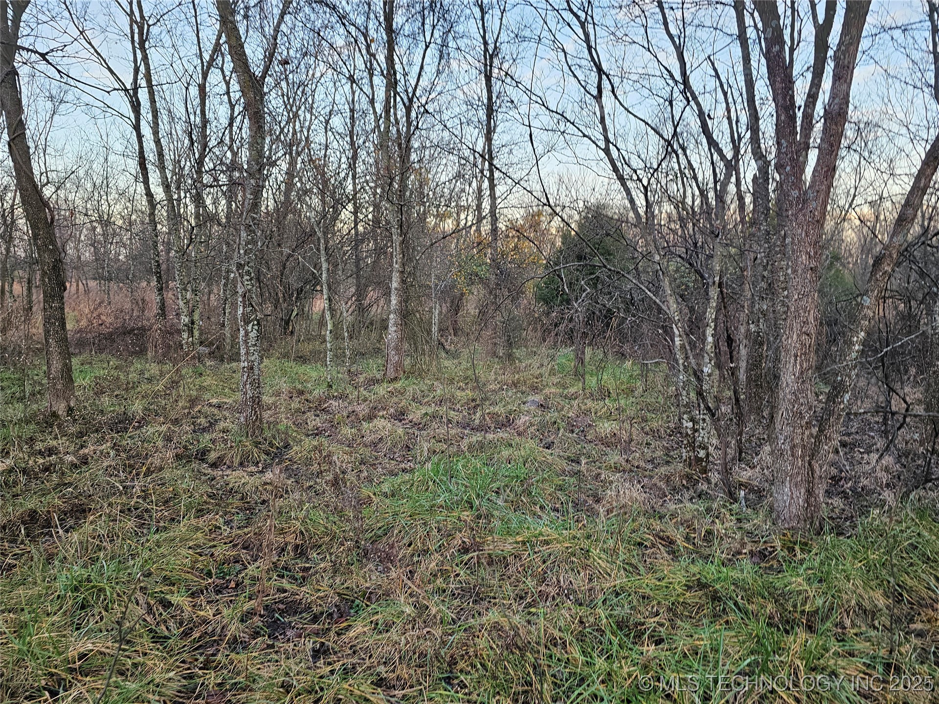 00004 N 4420 Road Property Photo 45