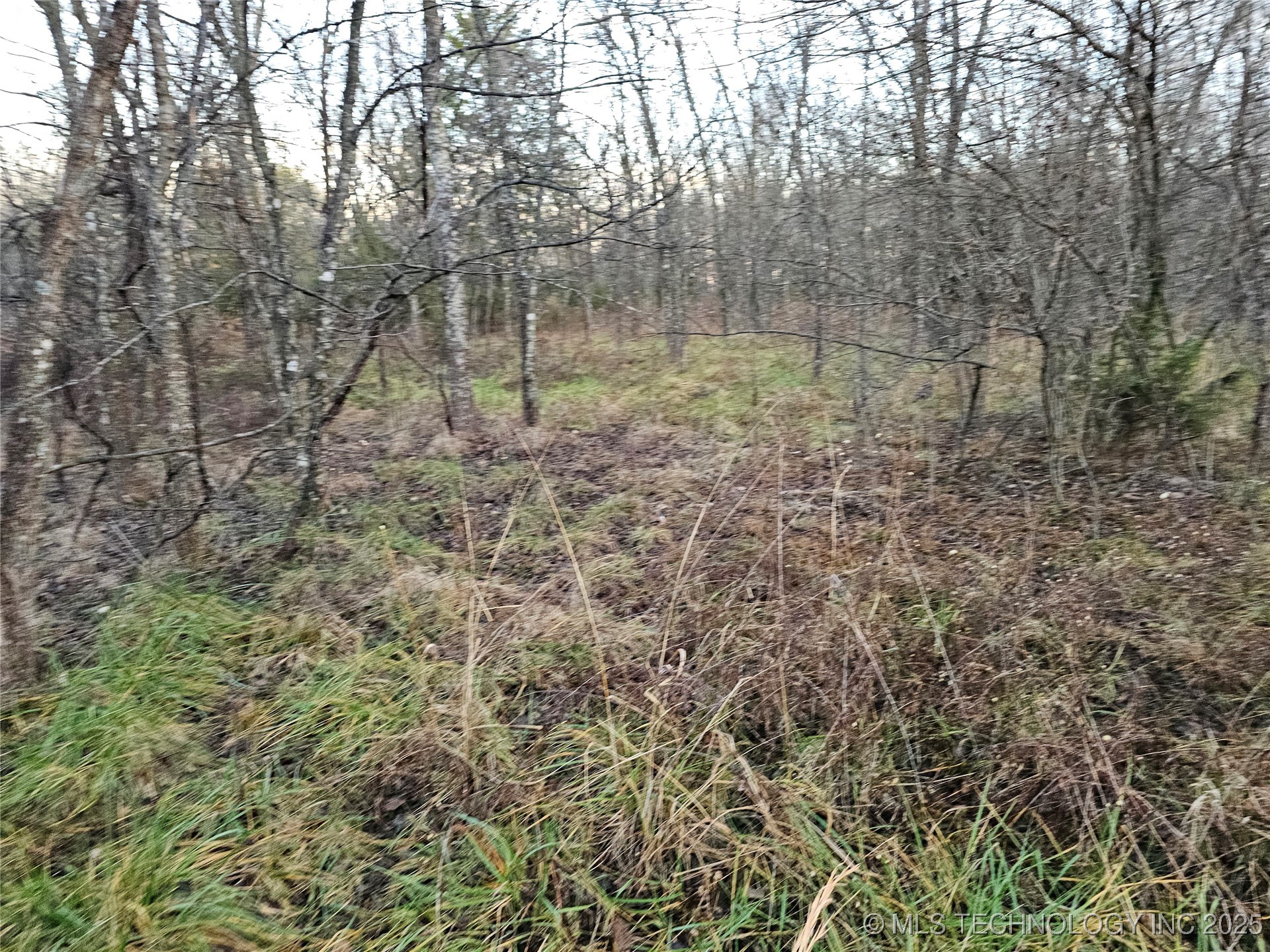 00004 N 4420 Road Property Photo 46