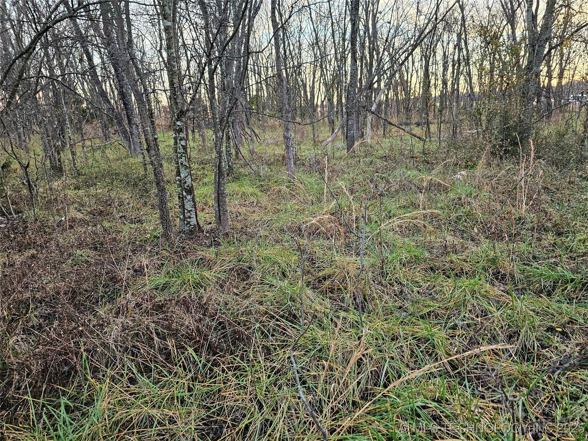 00004 N 4420 Road Property Photo 47