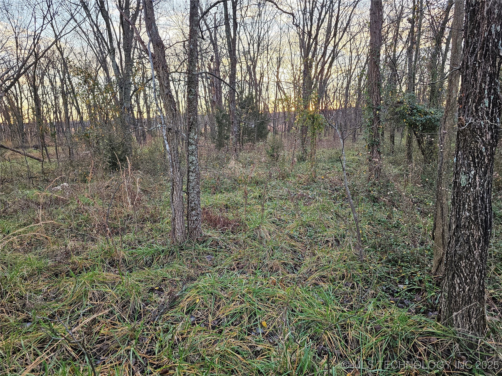 00004 N 4420 Road Property Photo 48