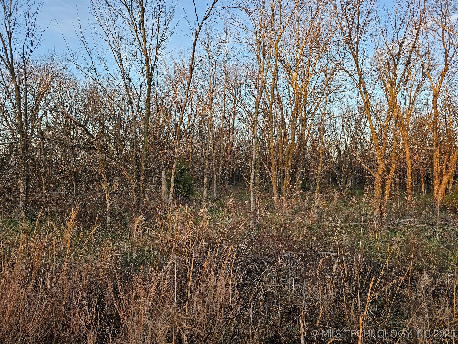 00004 N 4420 Road Property Photo 49