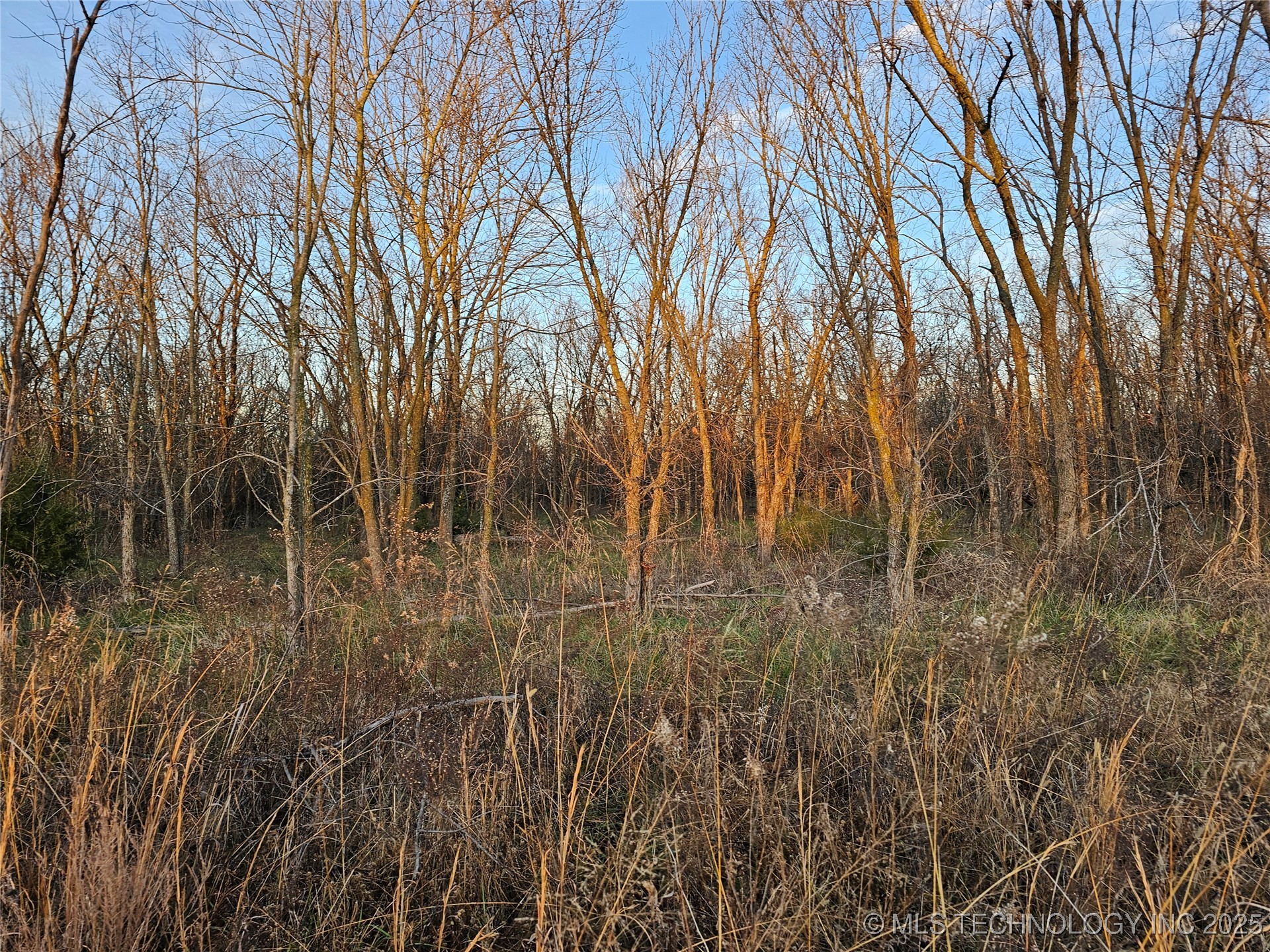 00004 N 4420 Road Property Photo 50