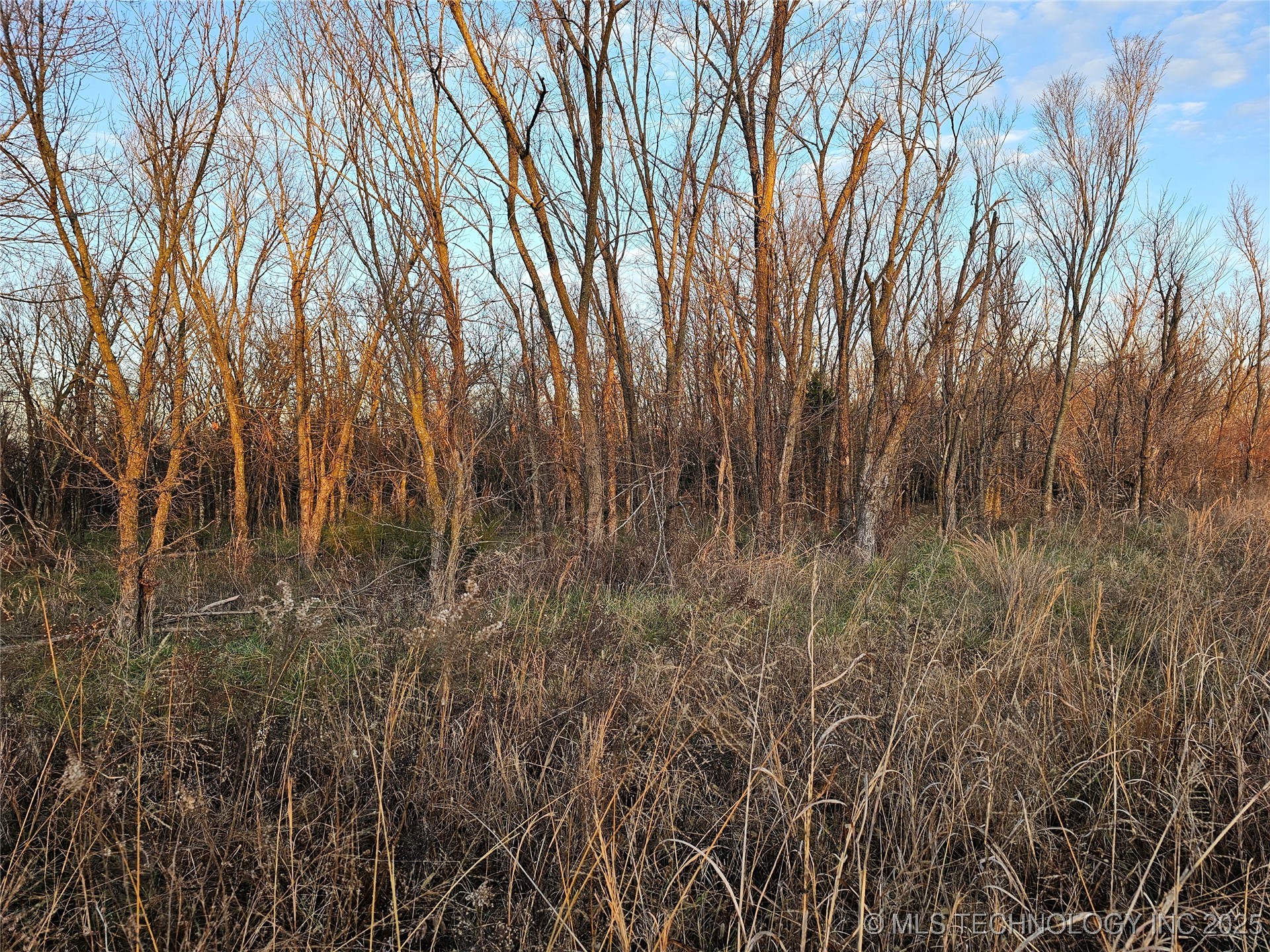 00004 N 4420 Road Property Photo 51