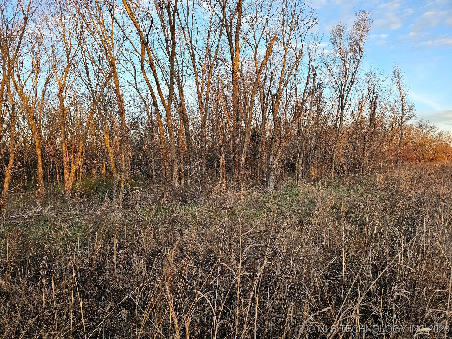 00004 N 4420 Road Property Photo 52