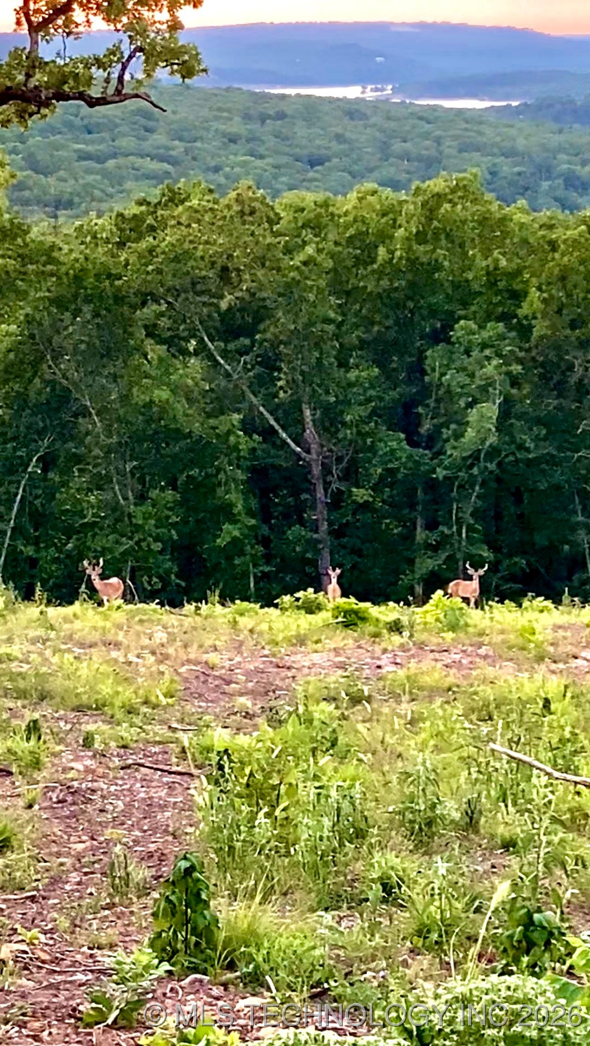 1234 Chicken Creek Road Property Photo 8